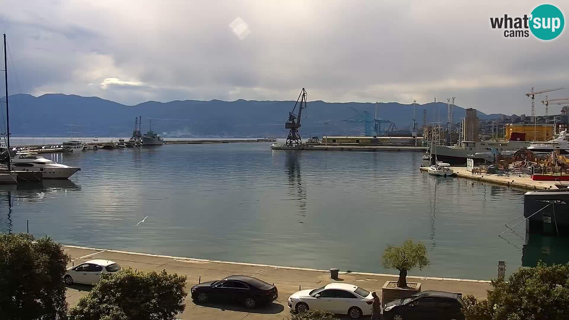 Riva i Marina u Rijeci – Web kamera uživo u Hrvatskoj