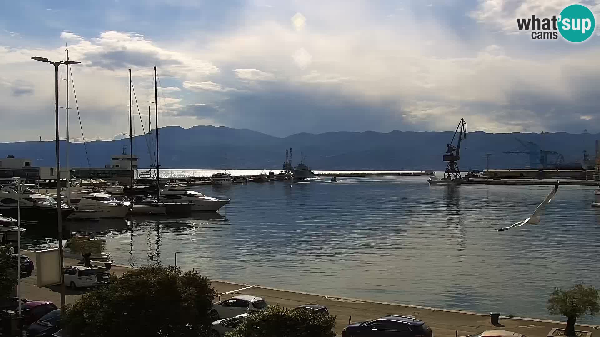 Die Riva und Marina in Rijeka – Live Webcam Kroatien