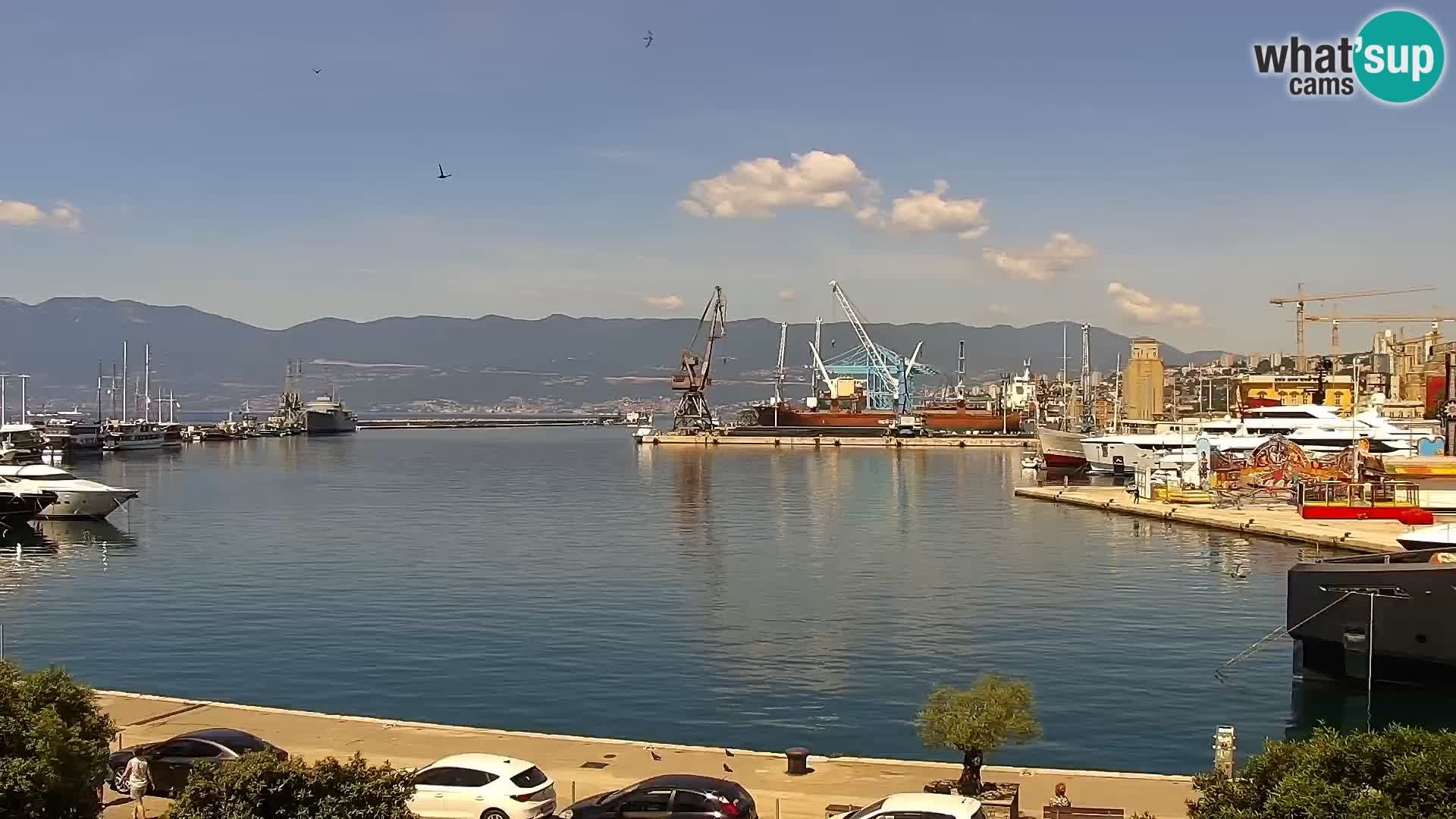 La Riva e la Marina a Rijeka (Fiume) – Live Webcam Croazia