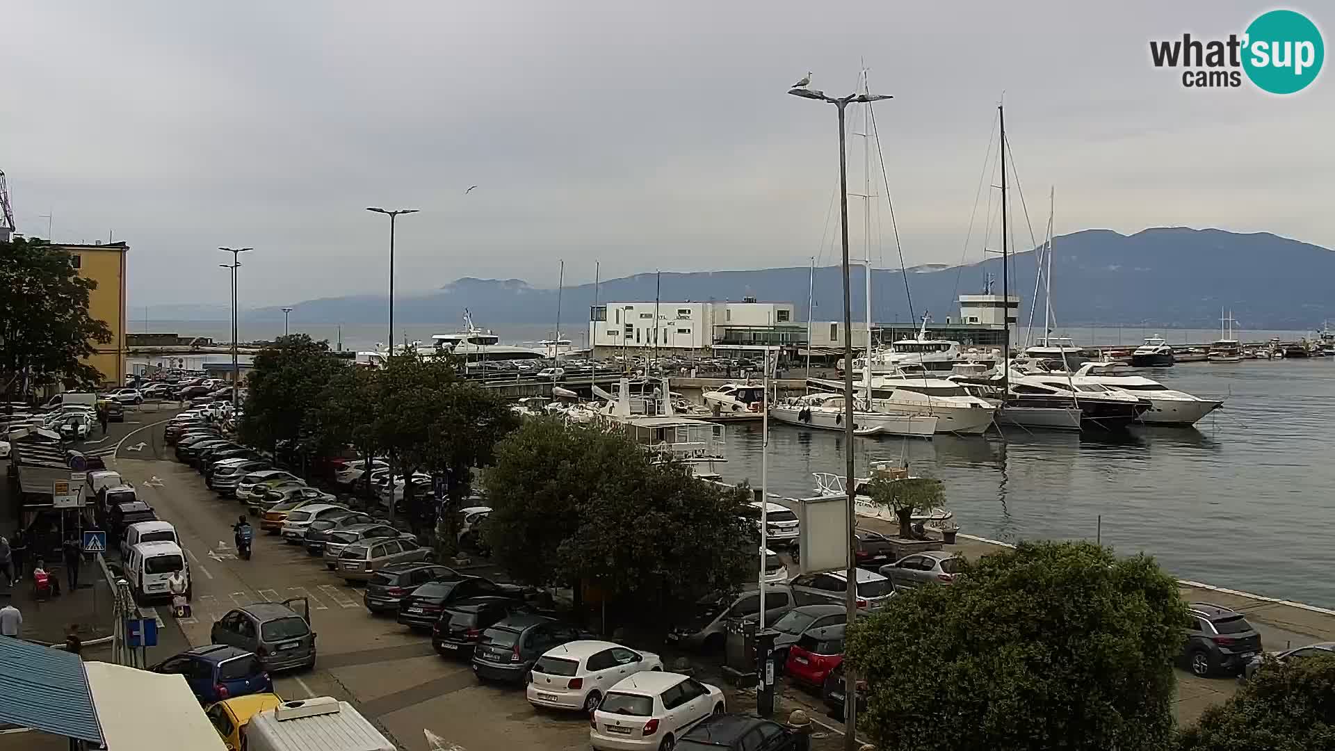 Riva in Marina v Reki – Spletna kamera v živo Hrvaška