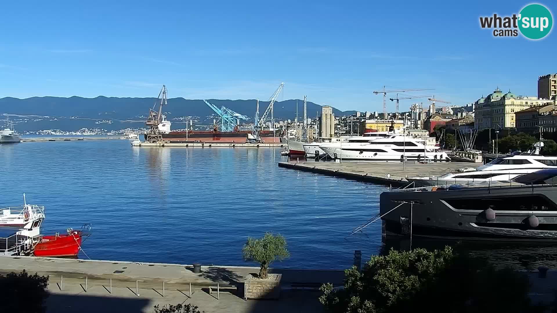 Riva in Marina v Reki – Spletna kamera v živo Hrvaška