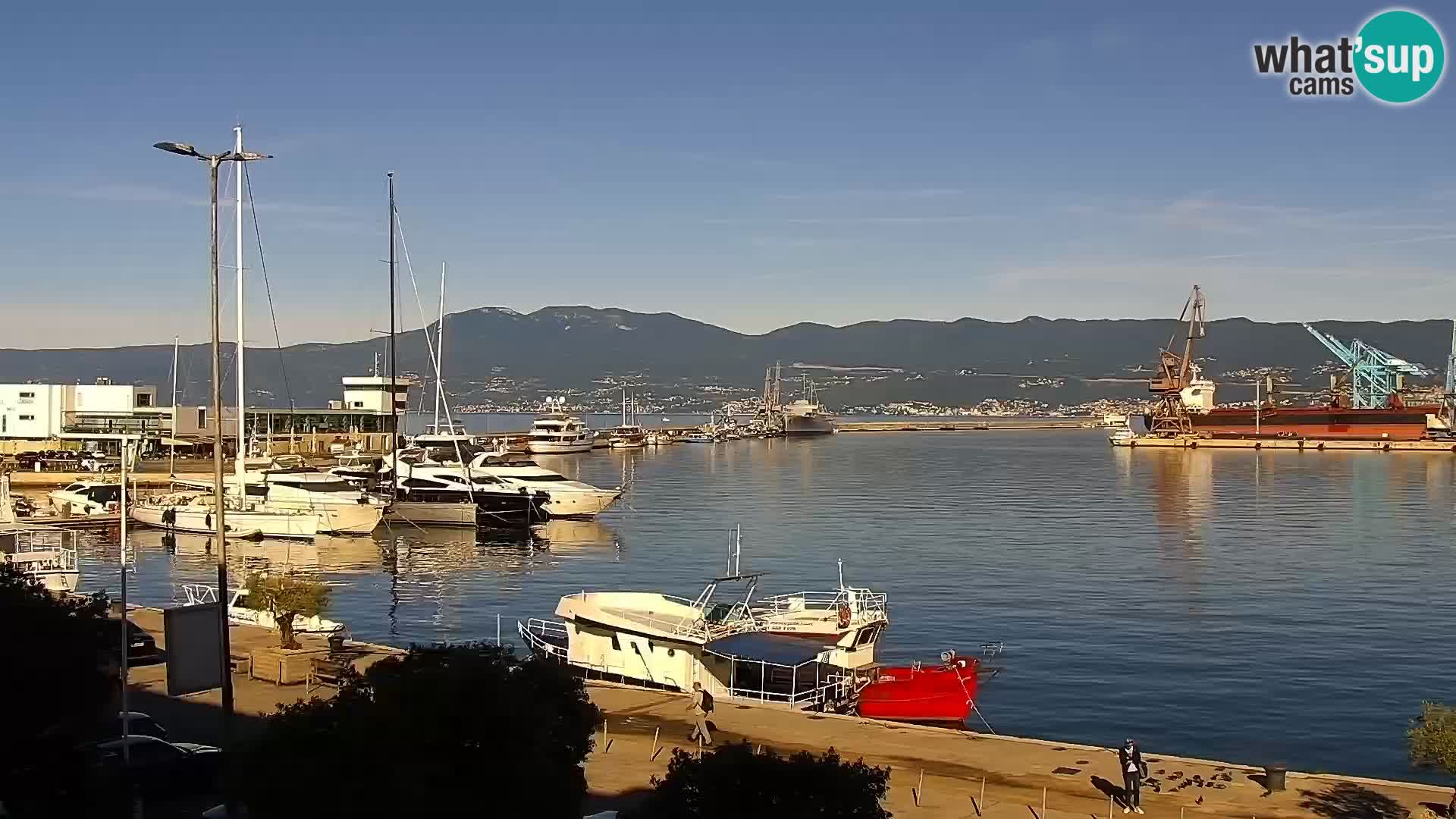 La Riva et Marina à Rijeka – Live Webcam Croatie