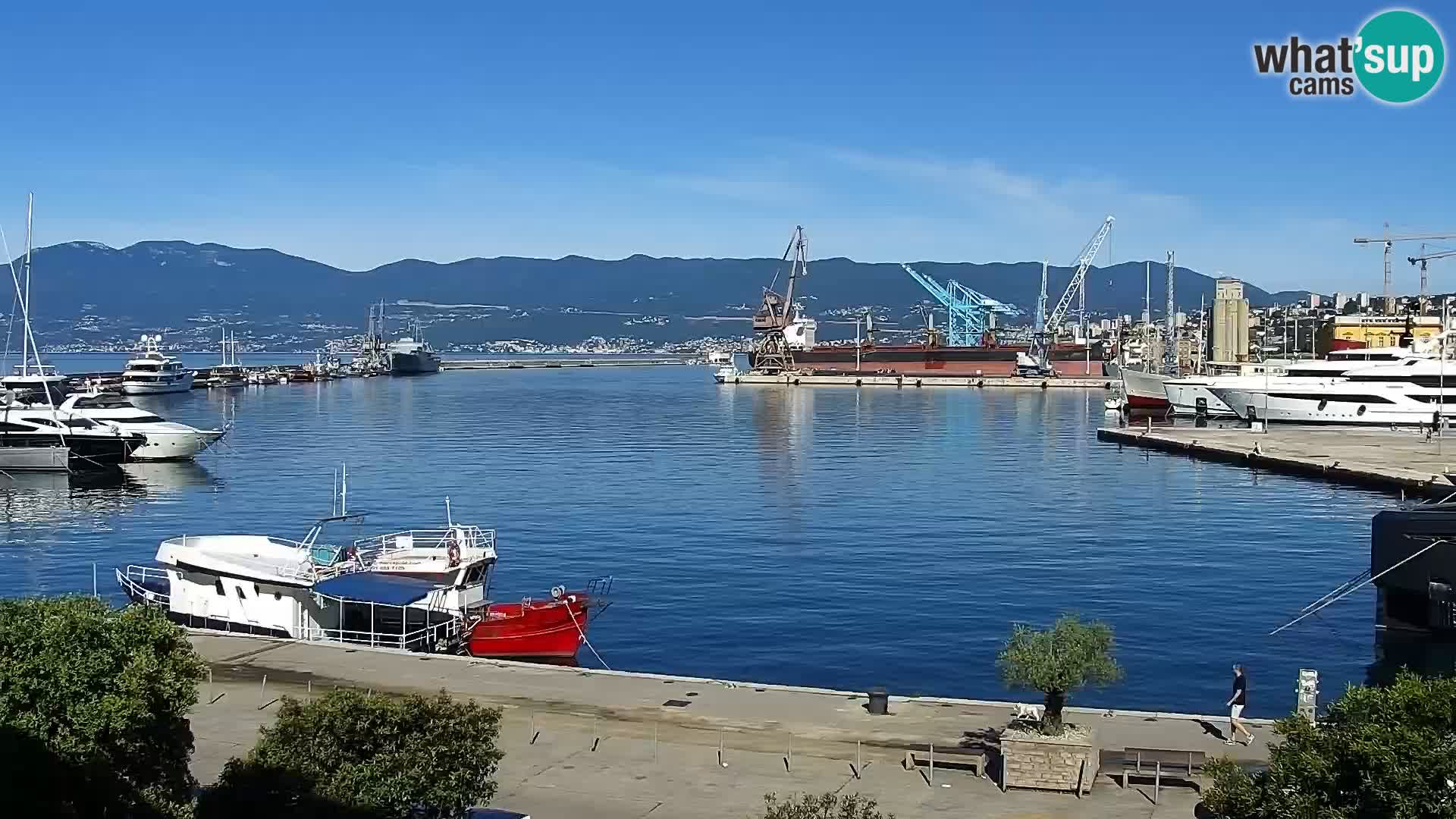 La Riva et Marina à Rijeka – Live Webcam Croatie