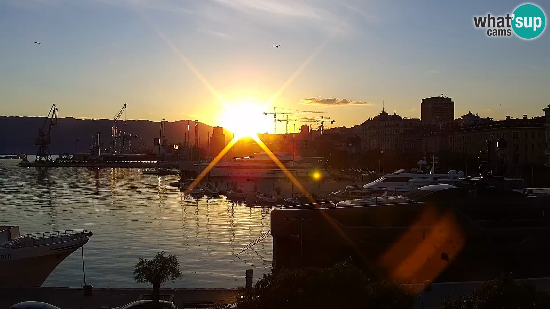 The Riva and Marina in Rijeka – Live Webcam Croatia