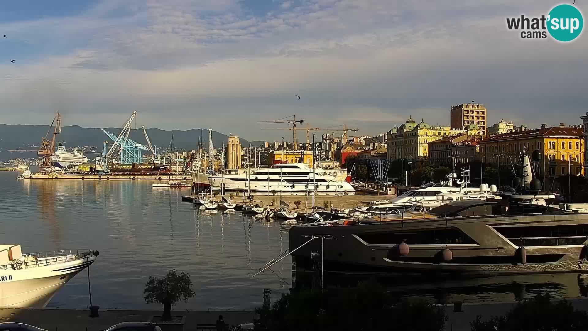 Riva i Marina u Rijeci – Web kamera uživo u Hrvatskoj