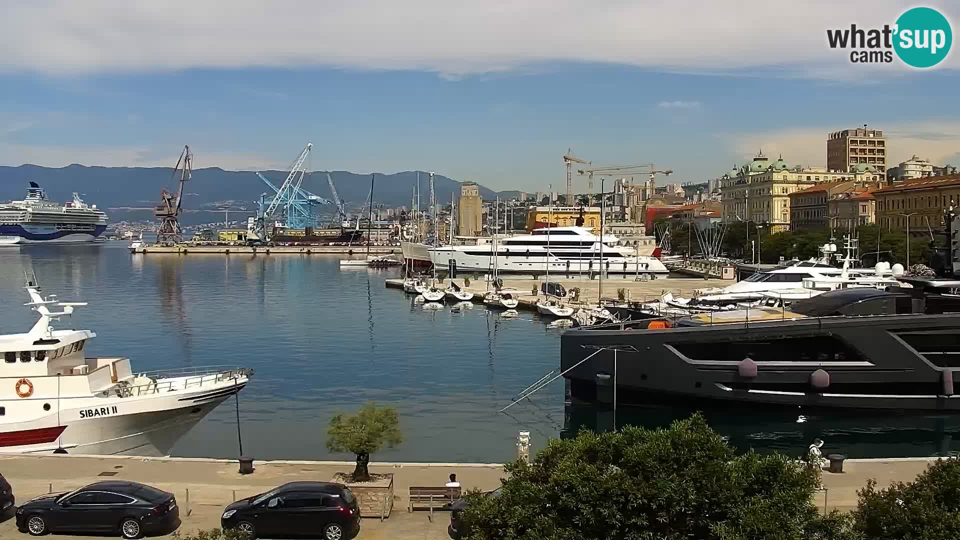Riva i Marina u Rijeci – Web kamera uživo u Hrvatskoj