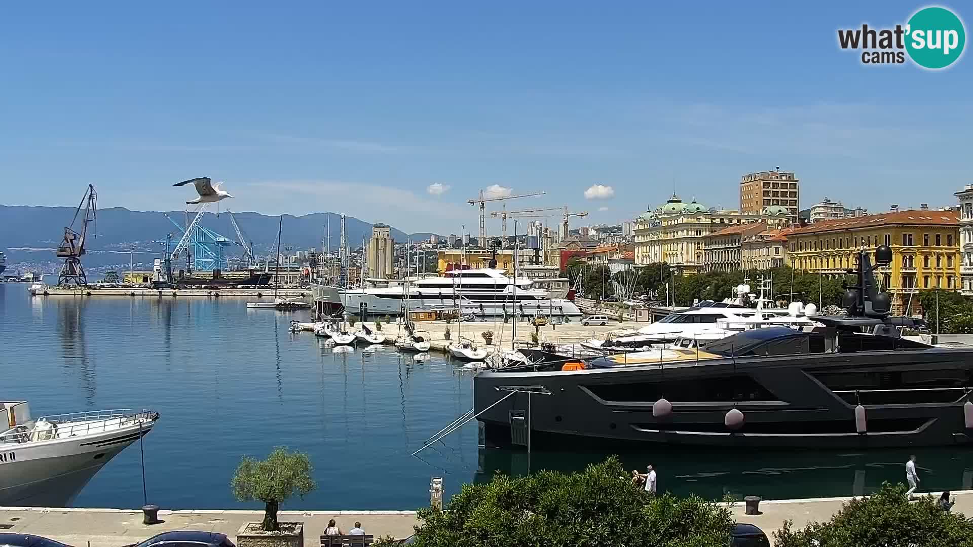 La Riva et Marina à Rijeka – Live Webcam Croatie