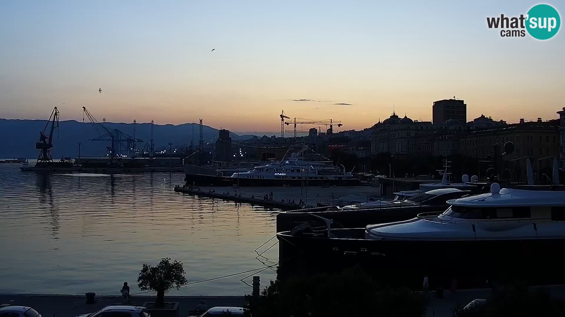 Die Riva und Marina in Rijeka – Live Webcam Kroatien