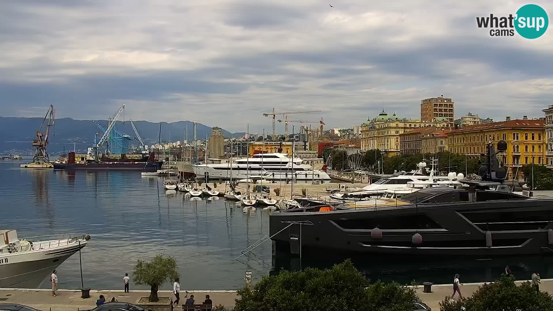 Riva i Marina u Rijeci – Web kamera uživo u Hrvatskoj