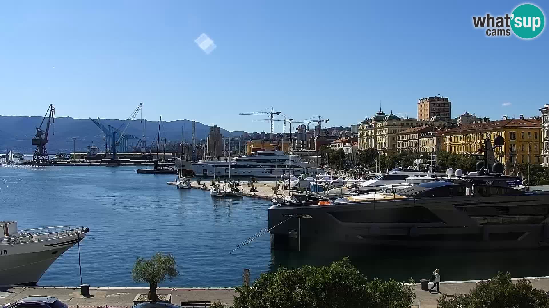 The Riva and Marina in Rijeka  – Live Webcam Croatia