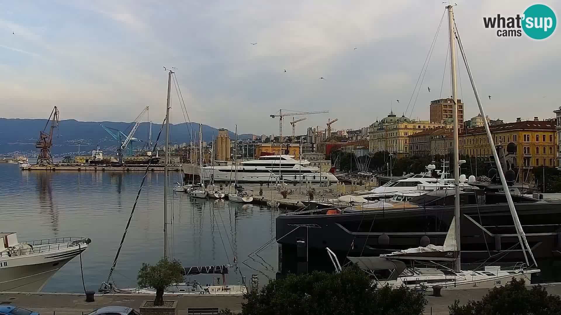 La Riva et Marina à Rijeka – Live Webcam Croatie