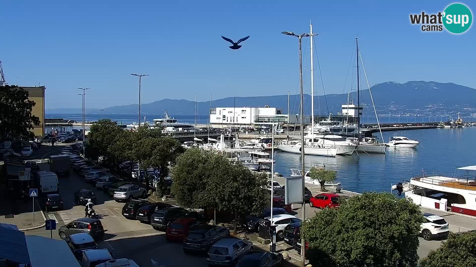 La Riva e la Marina a Rijeka (Fiume) – Live Webcam Croazia