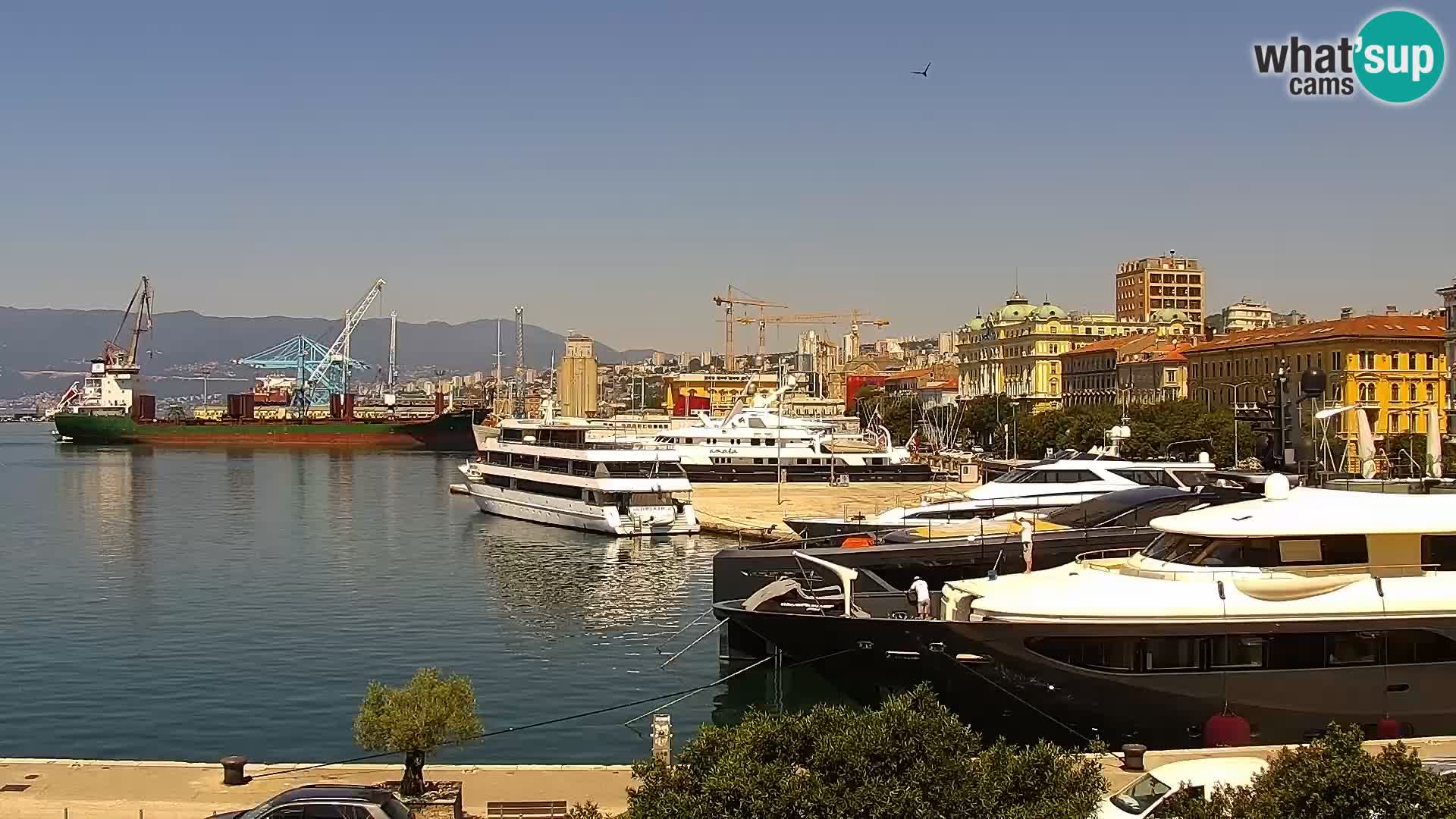 La Riva e la Marina a Rijeka (Fiume) – Live Webcam Croazia