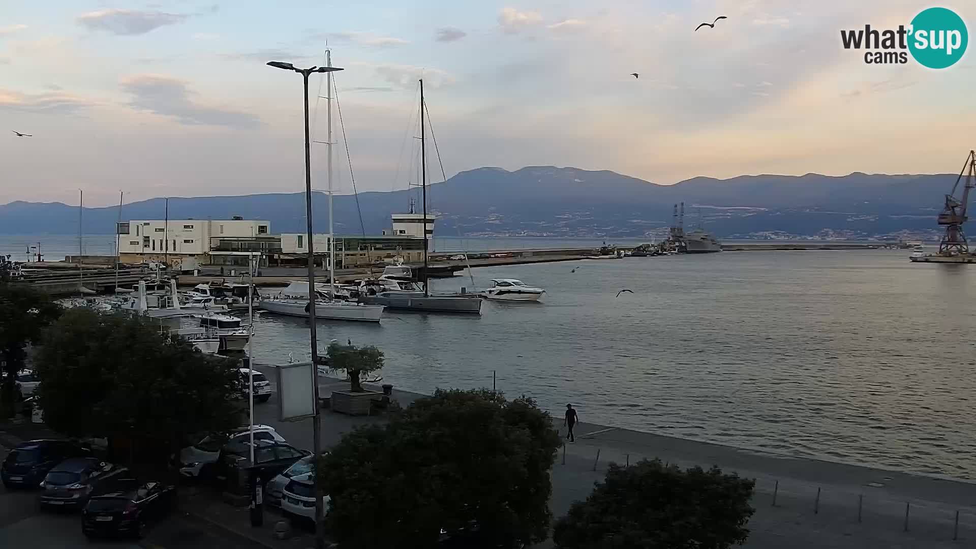 La Riva e la Marina a Rijeka (Fiume) – Live Webcam Croazia