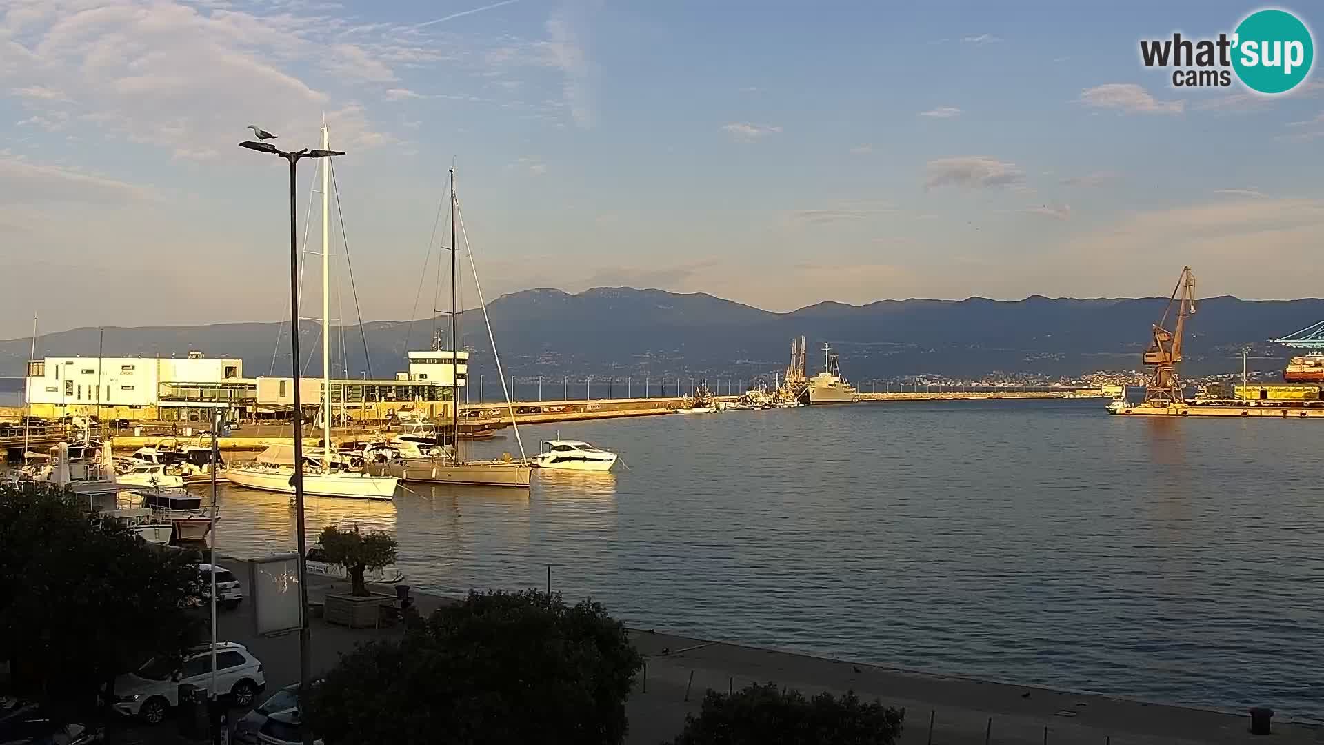 Riva i Marina u Rijeci – Web kamera uživo u Hrvatskoj