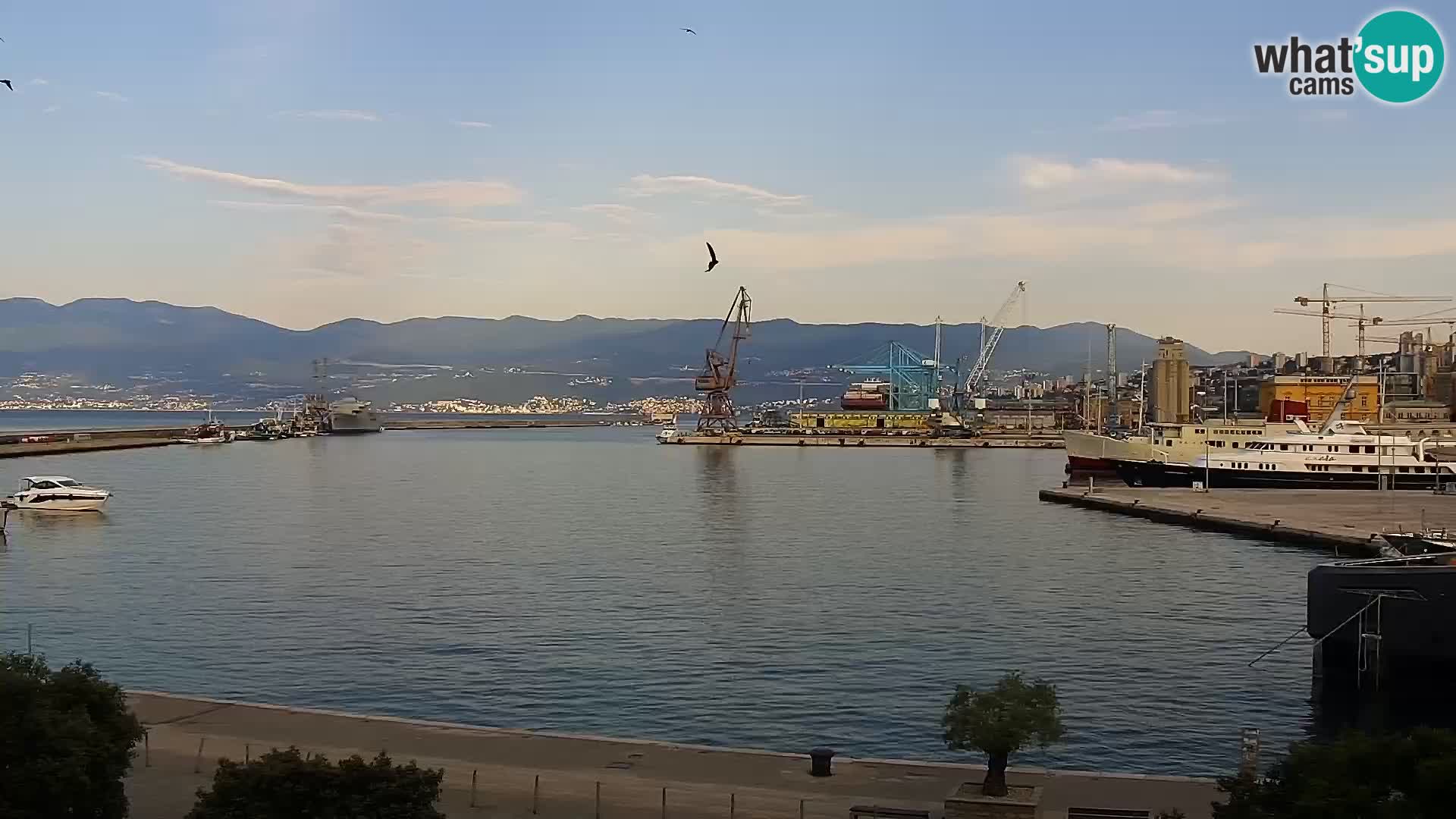 Riva i Marina u Rijeci – Web kamera uživo u Hrvatskoj