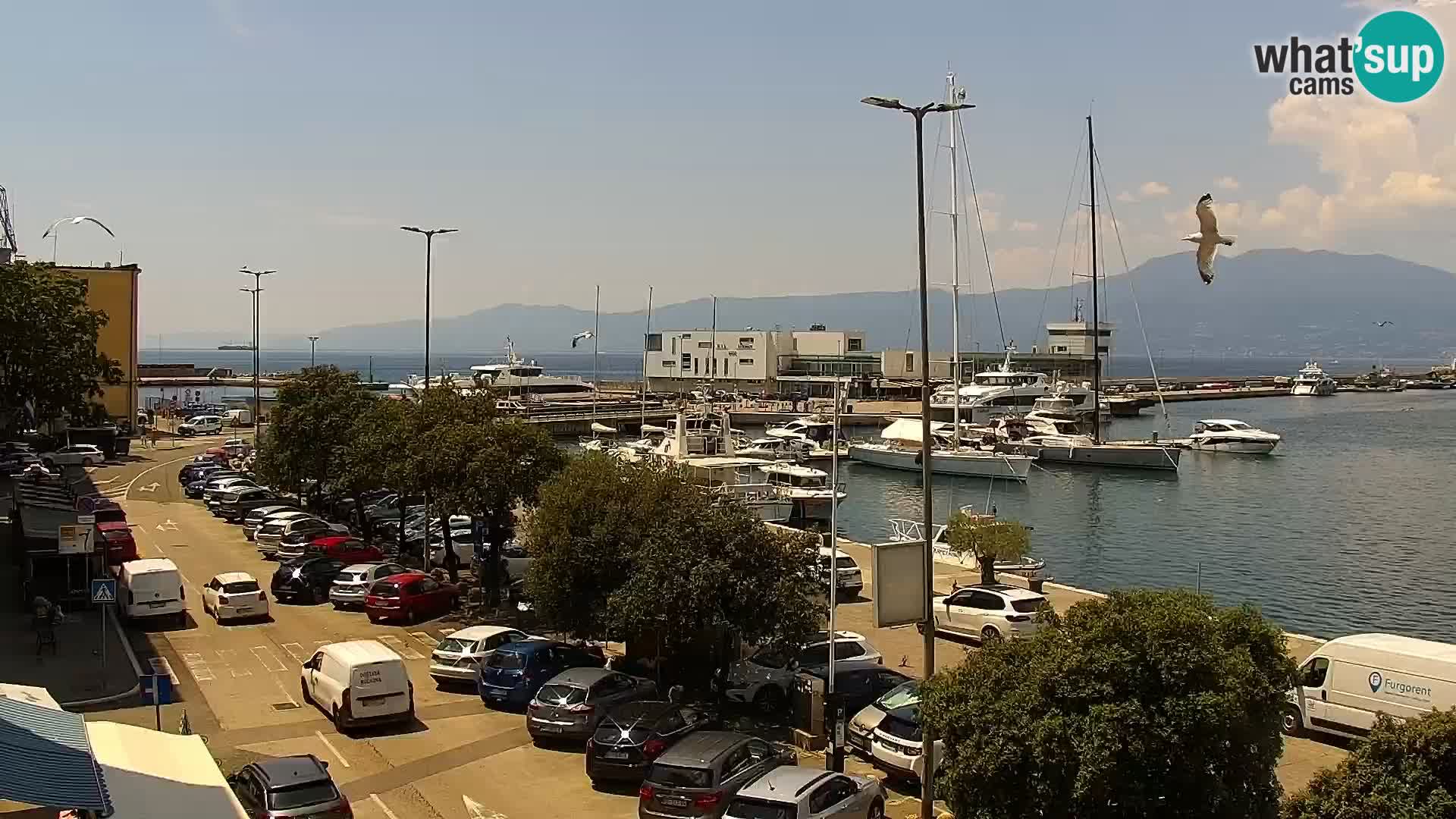 La Riva e la Marina a Rijeka (Fiume) – Live Webcam Croazia