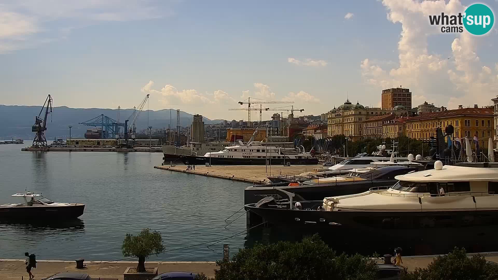 Riva i Marina u Rijeci – Web kamera uživo u Hrvatskoj