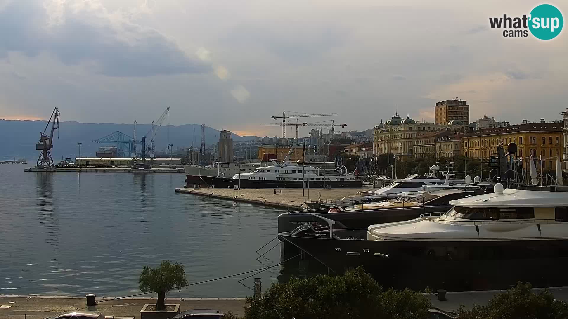 Riva in Marina v Reki – Spletna kamera v živo Hrvaška
