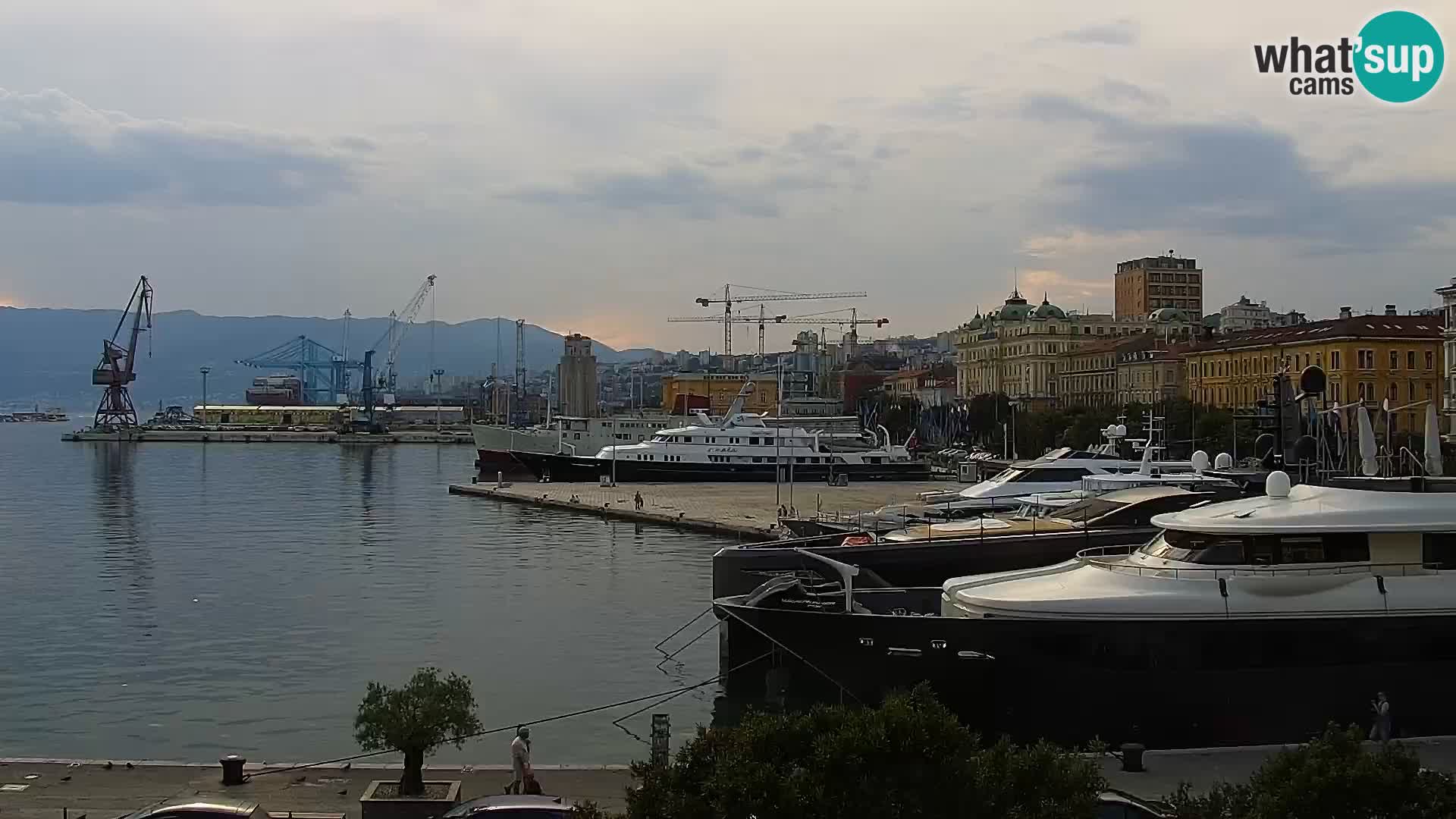 La Riva y Marina en Rijeka – Webcam en vivo Croacia