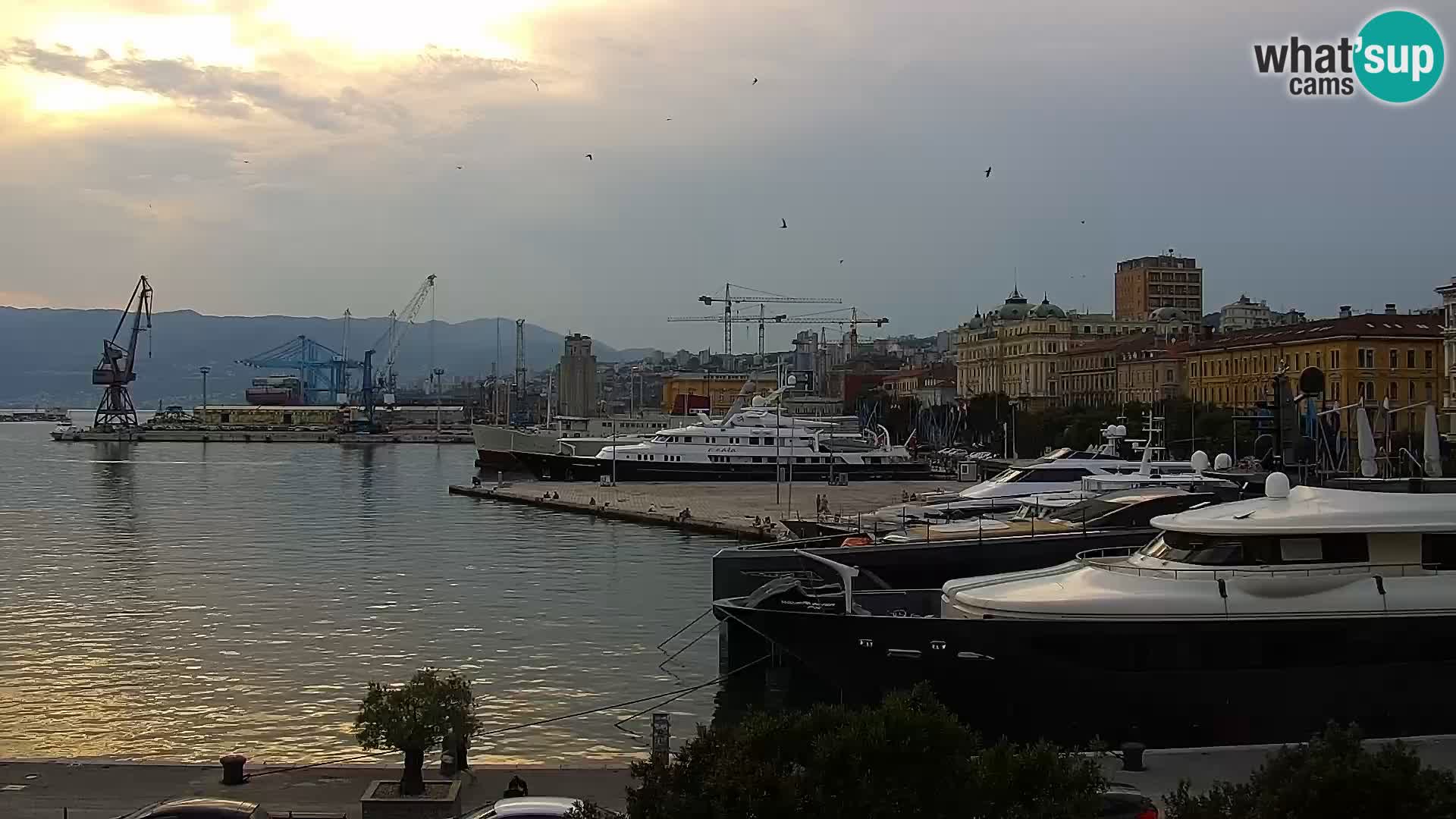 La Riva et Marina à Rijeka – Live Webcam Croatie