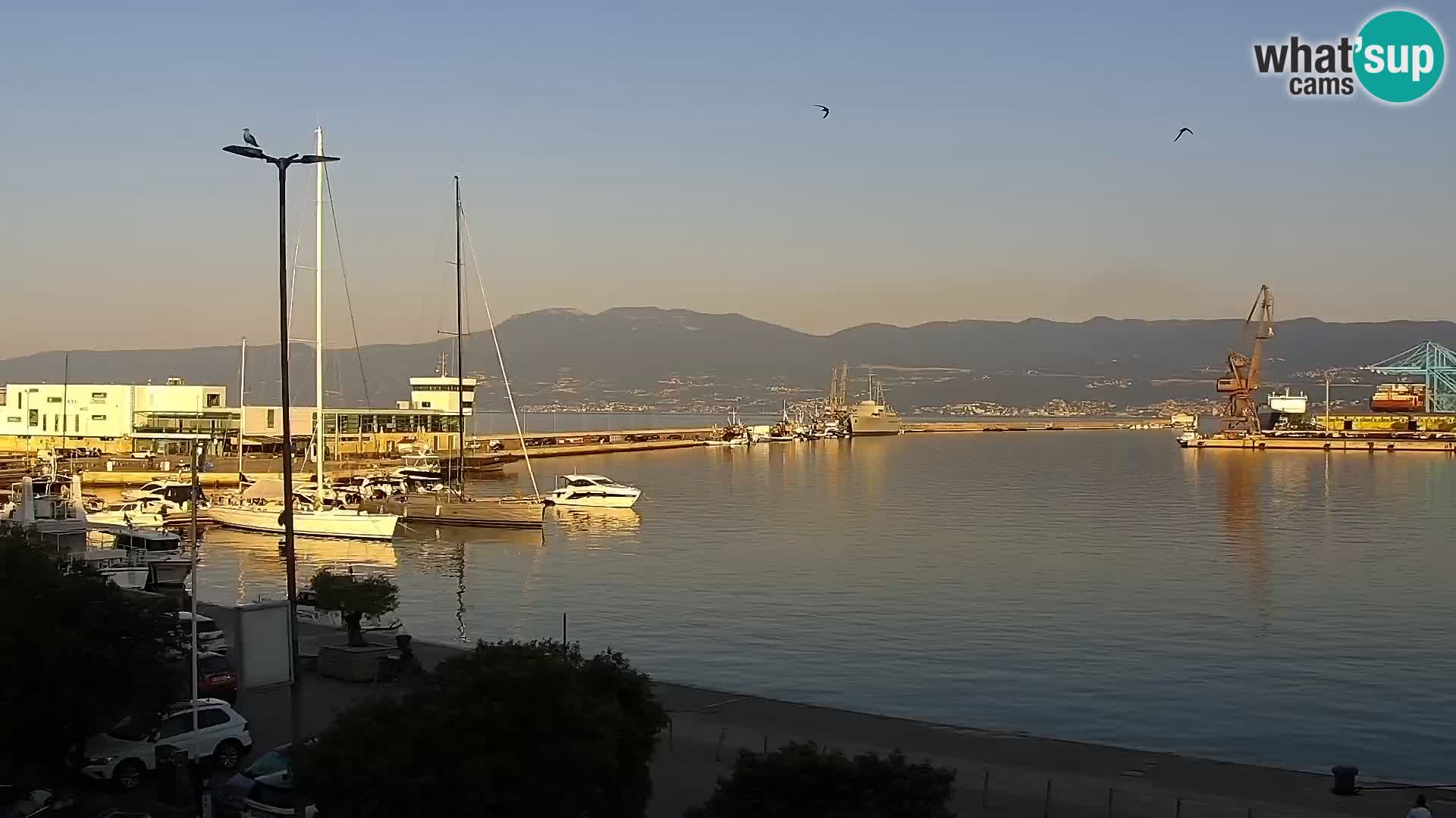 Riva in Marina v Reki – Spletna kamera v živo Hrvaška
