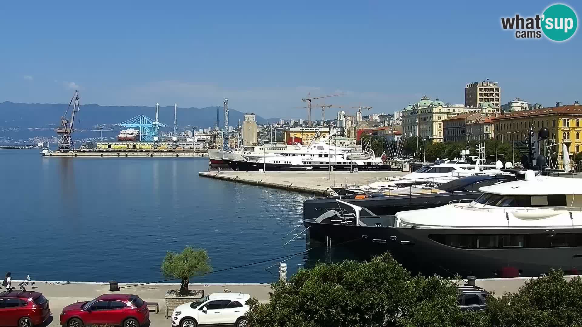 Riva i Marina u Rijeci – Web kamera uživo u Hrvatskoj