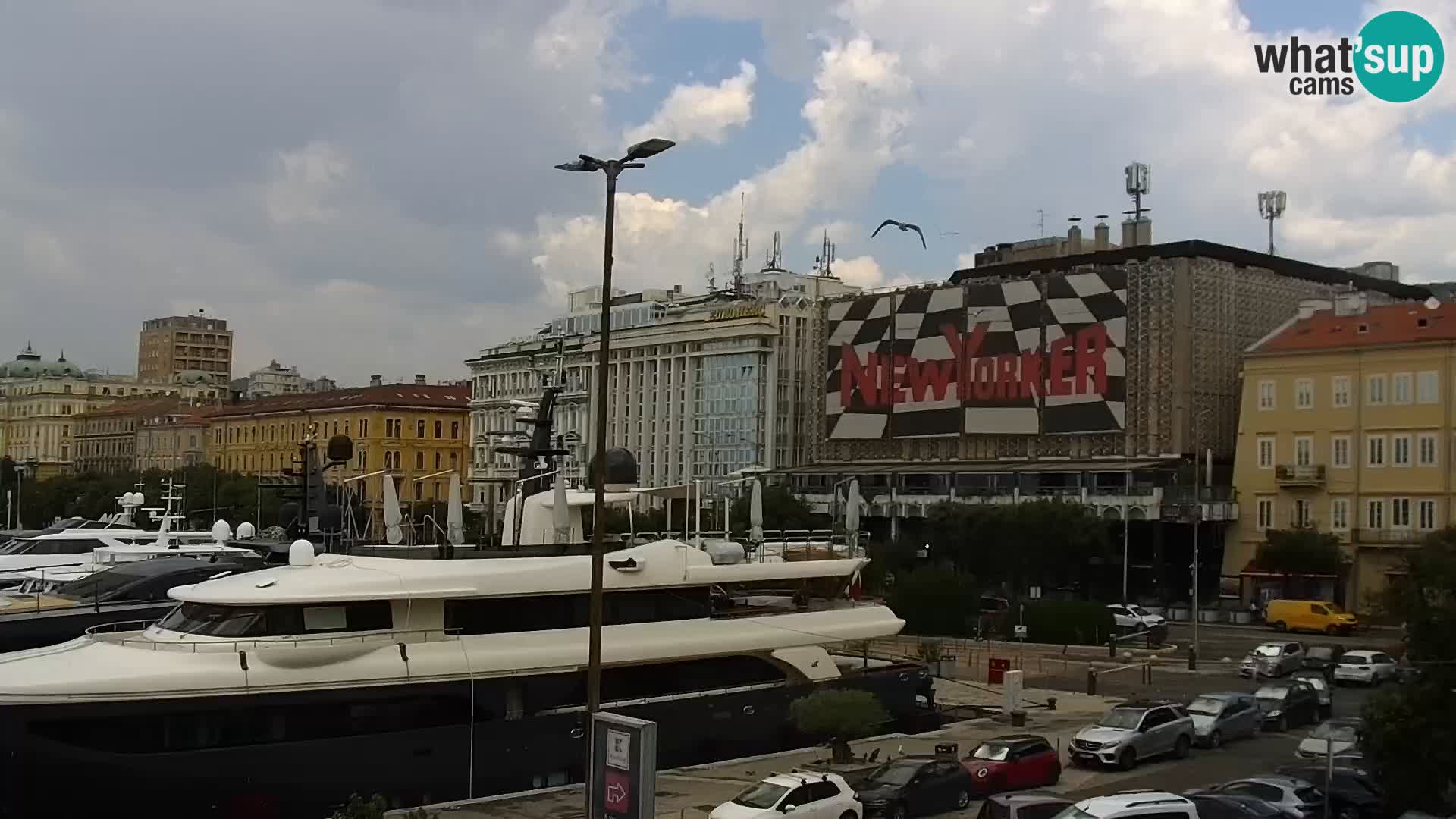 Die Riva und Marina in Rijeka – Live Webcam Kroatien