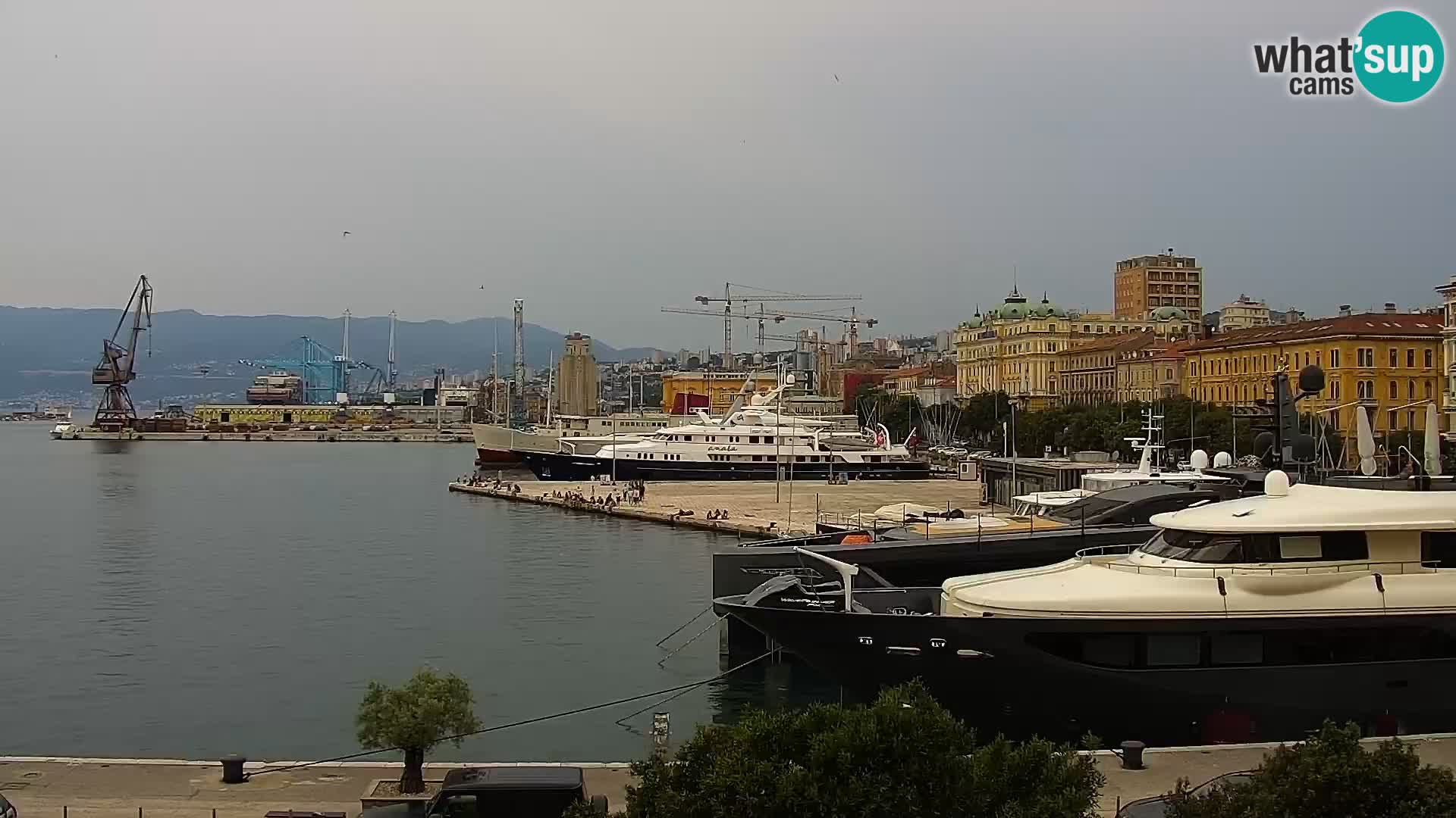 La Riva e la Marina a Rijeka (Fiume) – Live Webcam Croazia