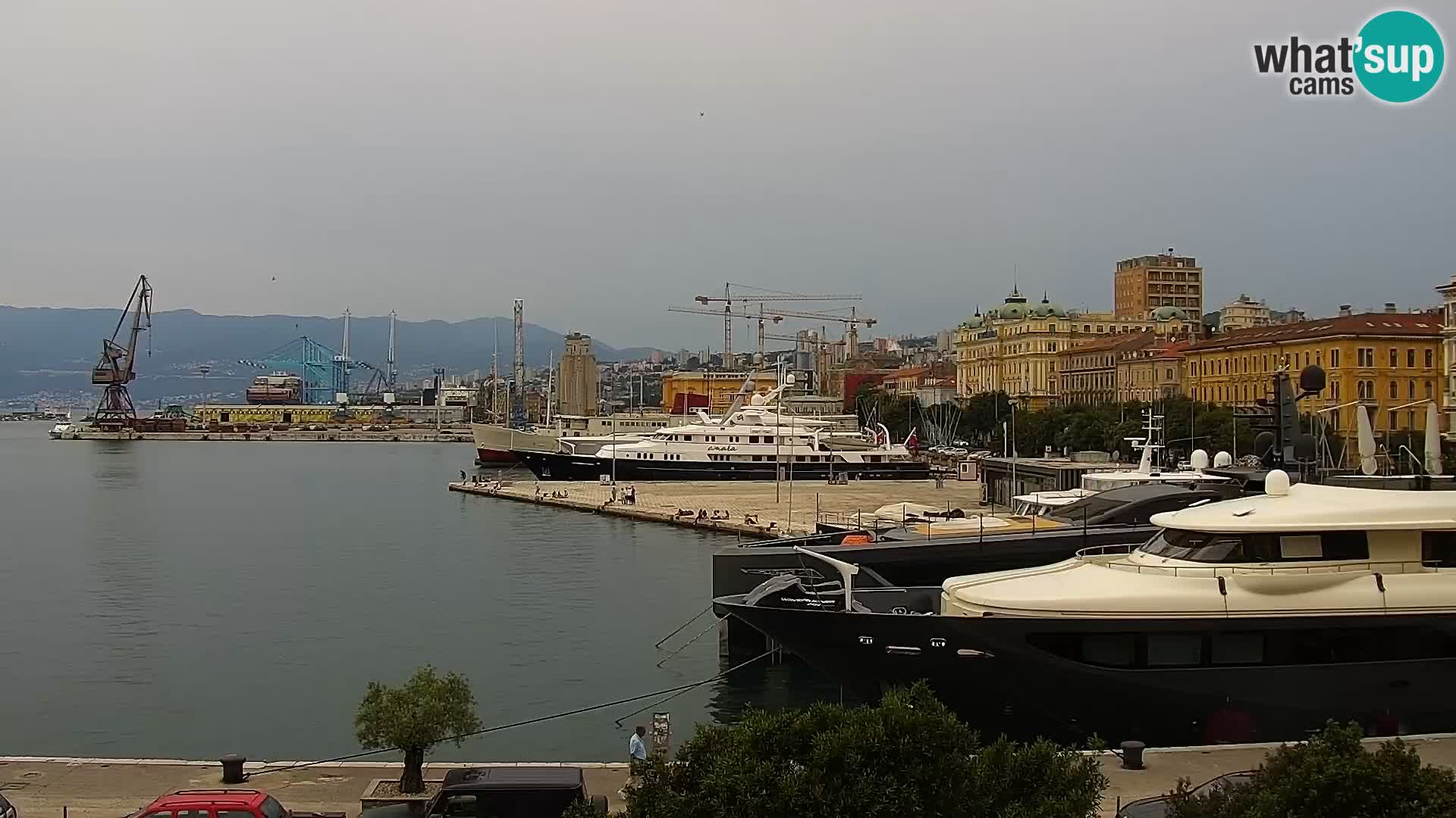 Riva i Marina u Rijeci – Web kamera uživo u Hrvatskoj
