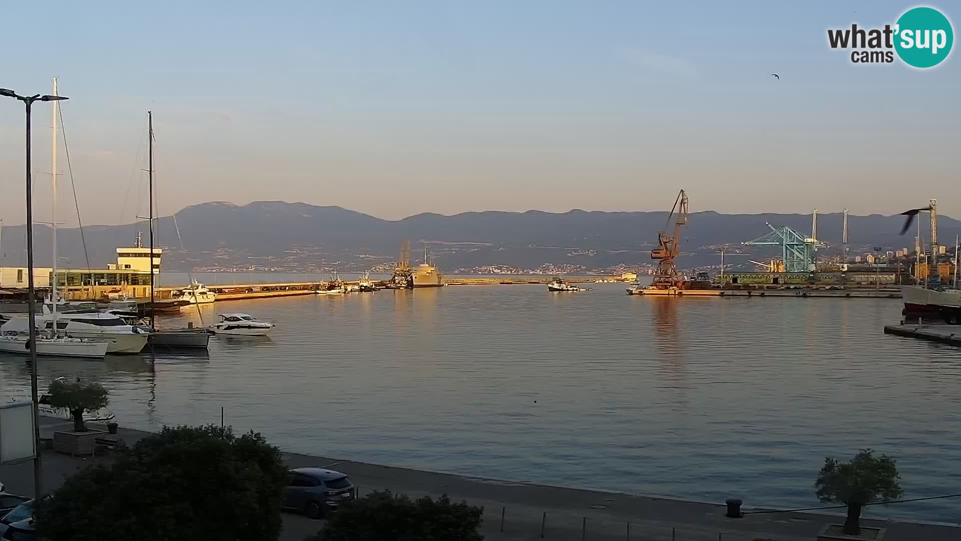 Riva in Marina v Reki – Spletna kamera v živo Hrvaška