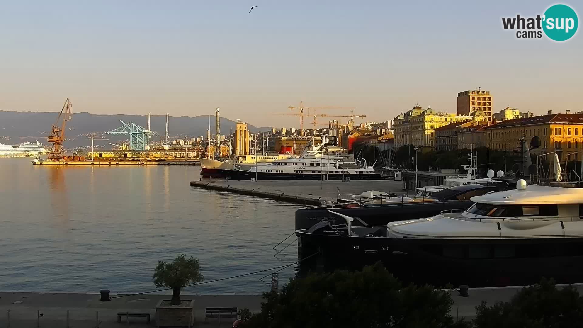 Die Riva und Marina in Rijeka – Live Webcam Kroatien