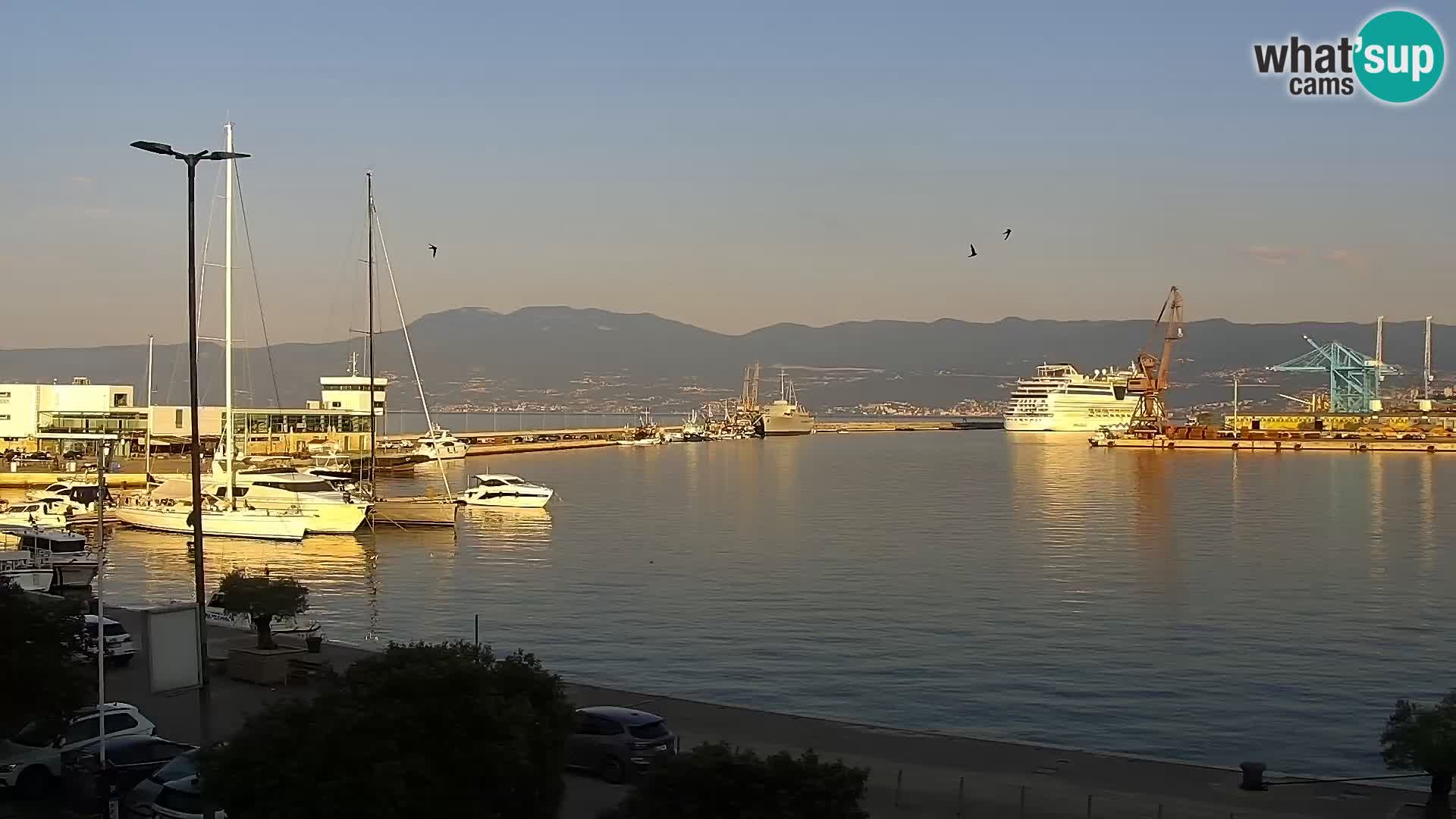 La Riva e la Marina a Rijeka (Fiume) – Live Webcam Croazia