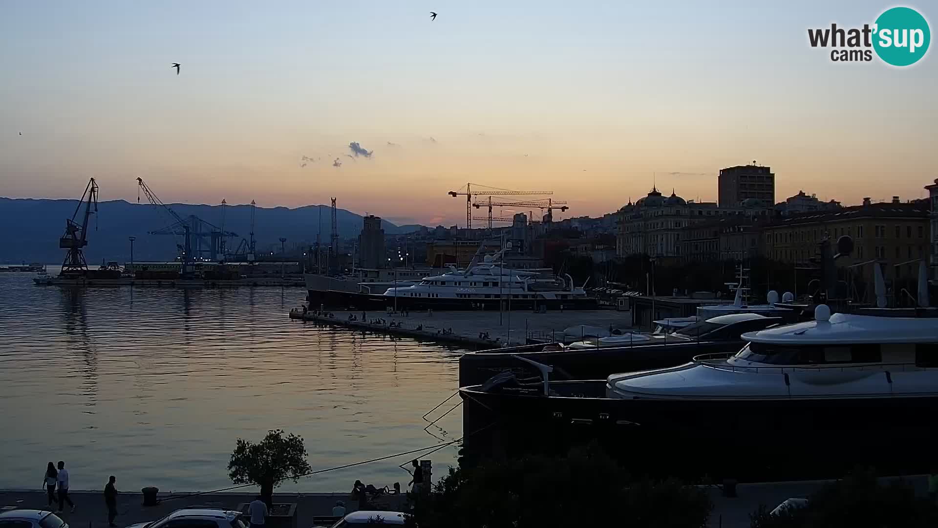 Riva in Marina v Reki – Spletna kamera v živo Hrvaška