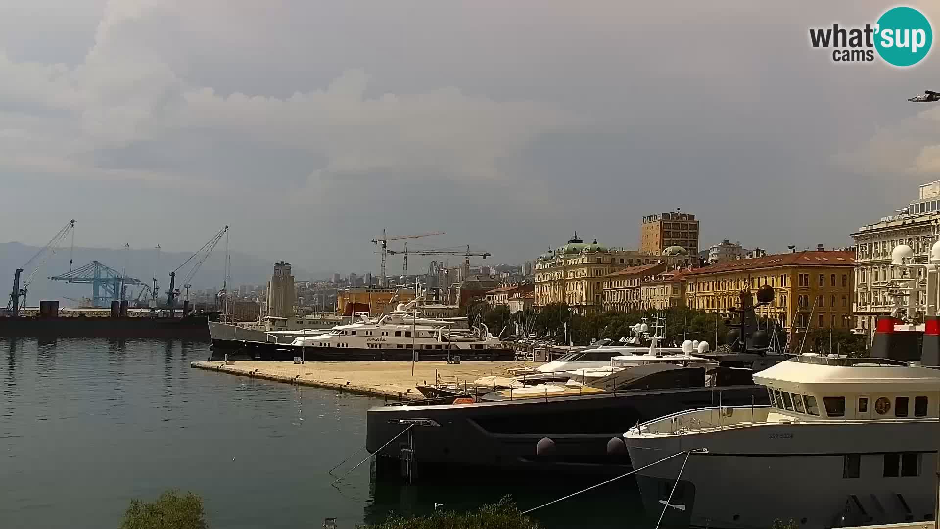 La Riva e la Marina a Rijeka (Fiume) – Live Webcam Croazia