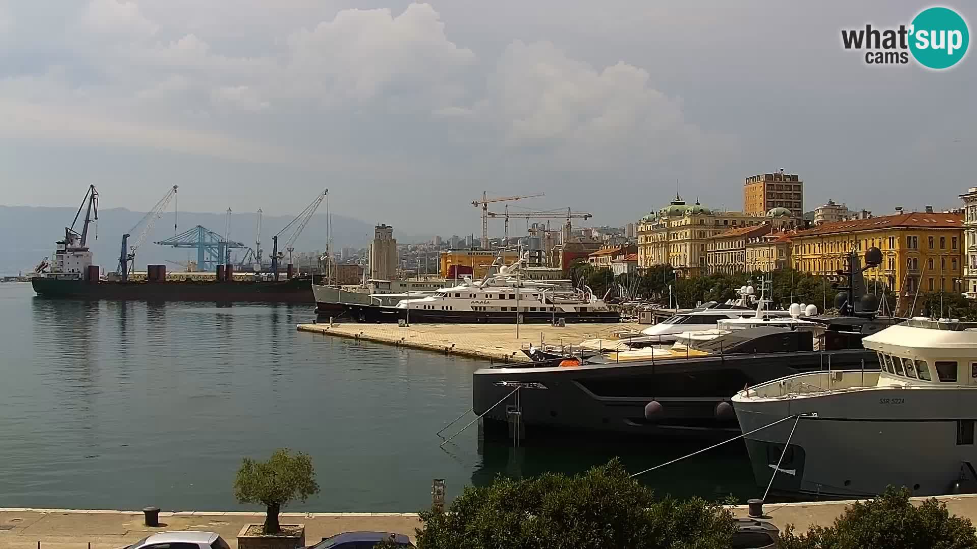 Riva i Marina u Rijeci – Web kamera uživo u Hrvatskoj