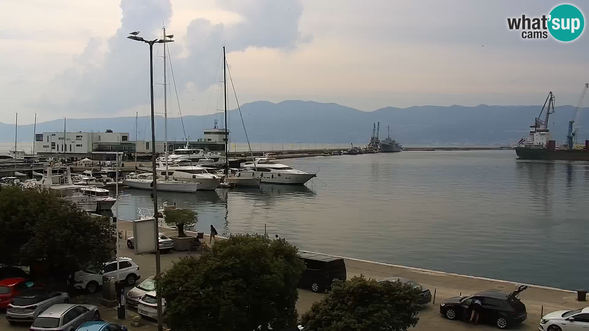 Riva i Marina u Rijeci – Web kamera uživo u Hrvatskoj