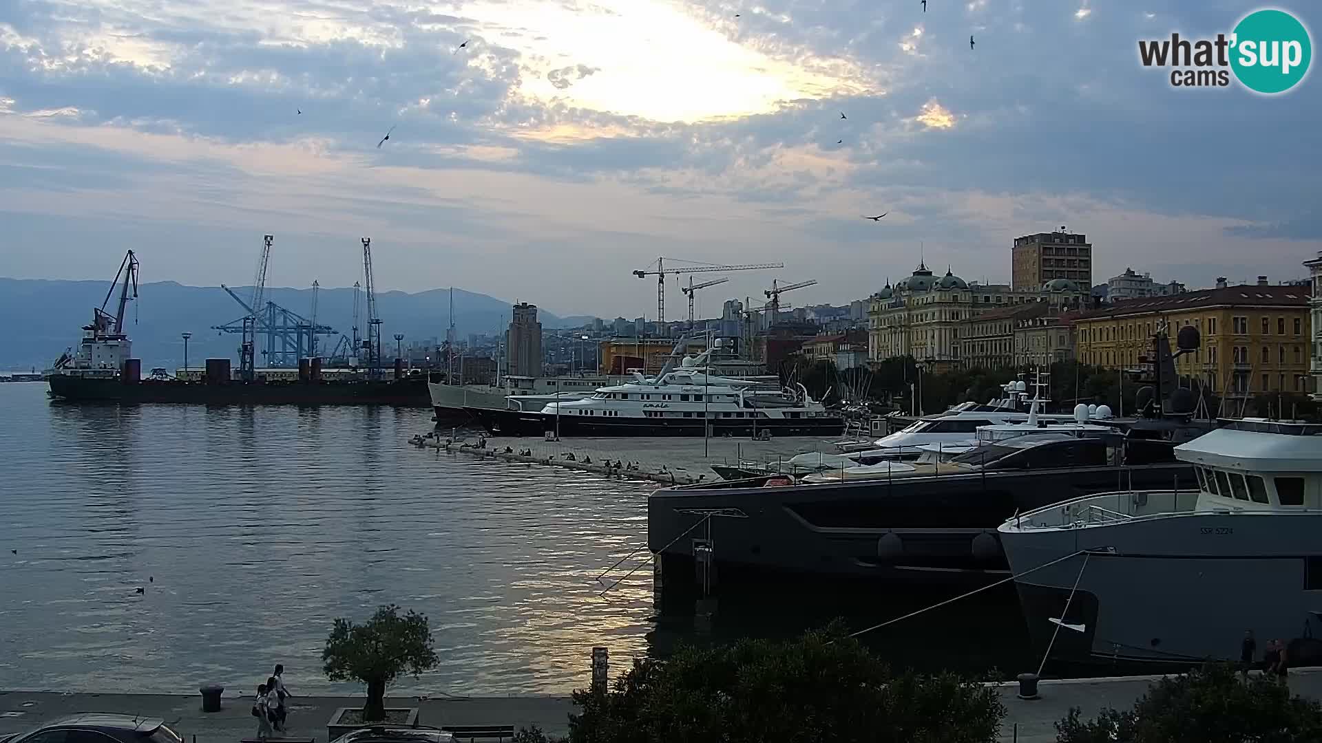La Riva y Marina en Rijeka – Webcam en vivo Croacia