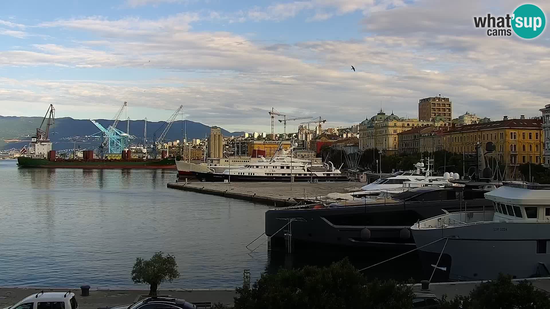Die Riva und Marina in Rijeka – Live Webcam Kroatien