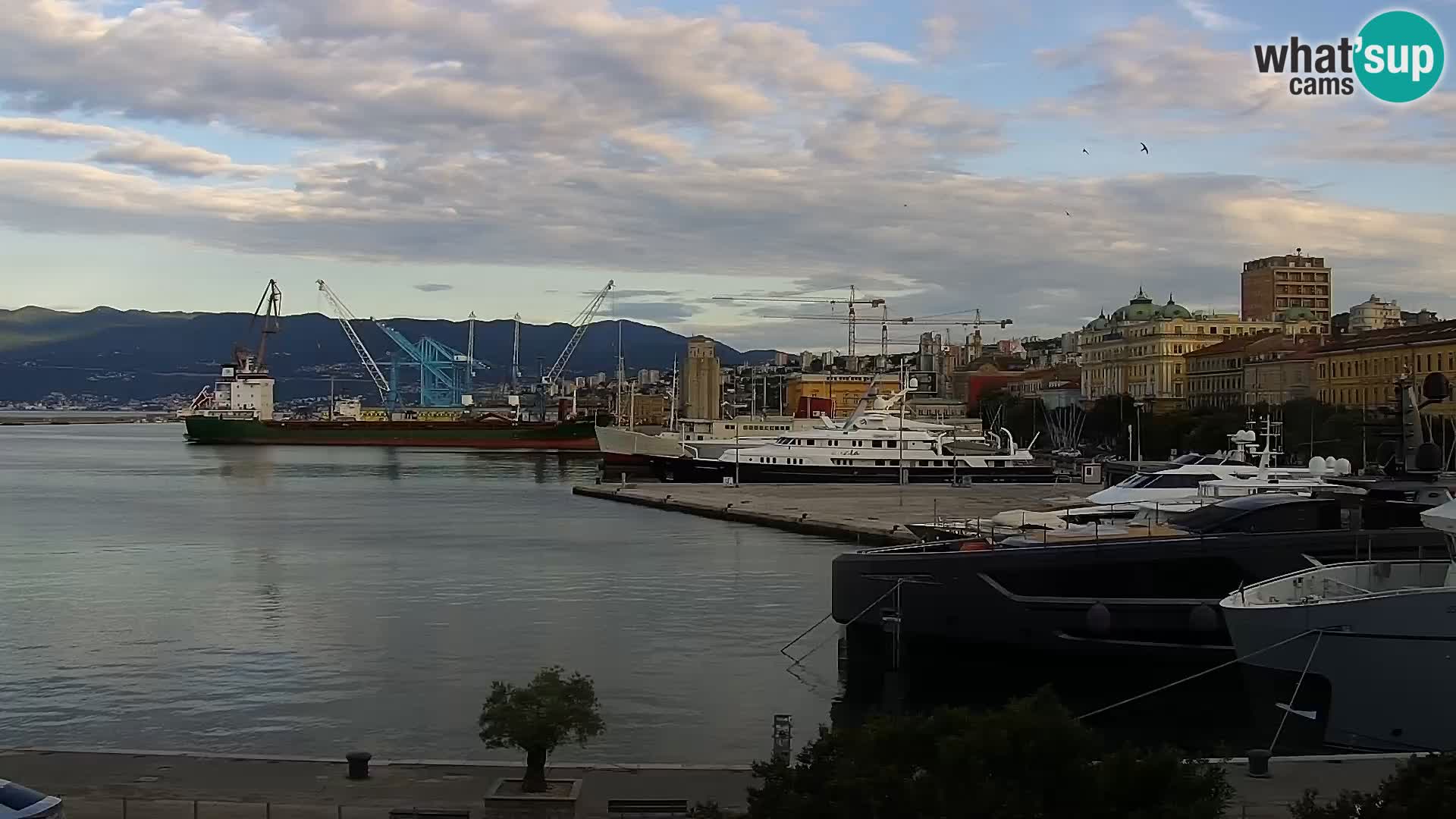 La Riva et Marina à Rijeka – Live Webcam Croatie