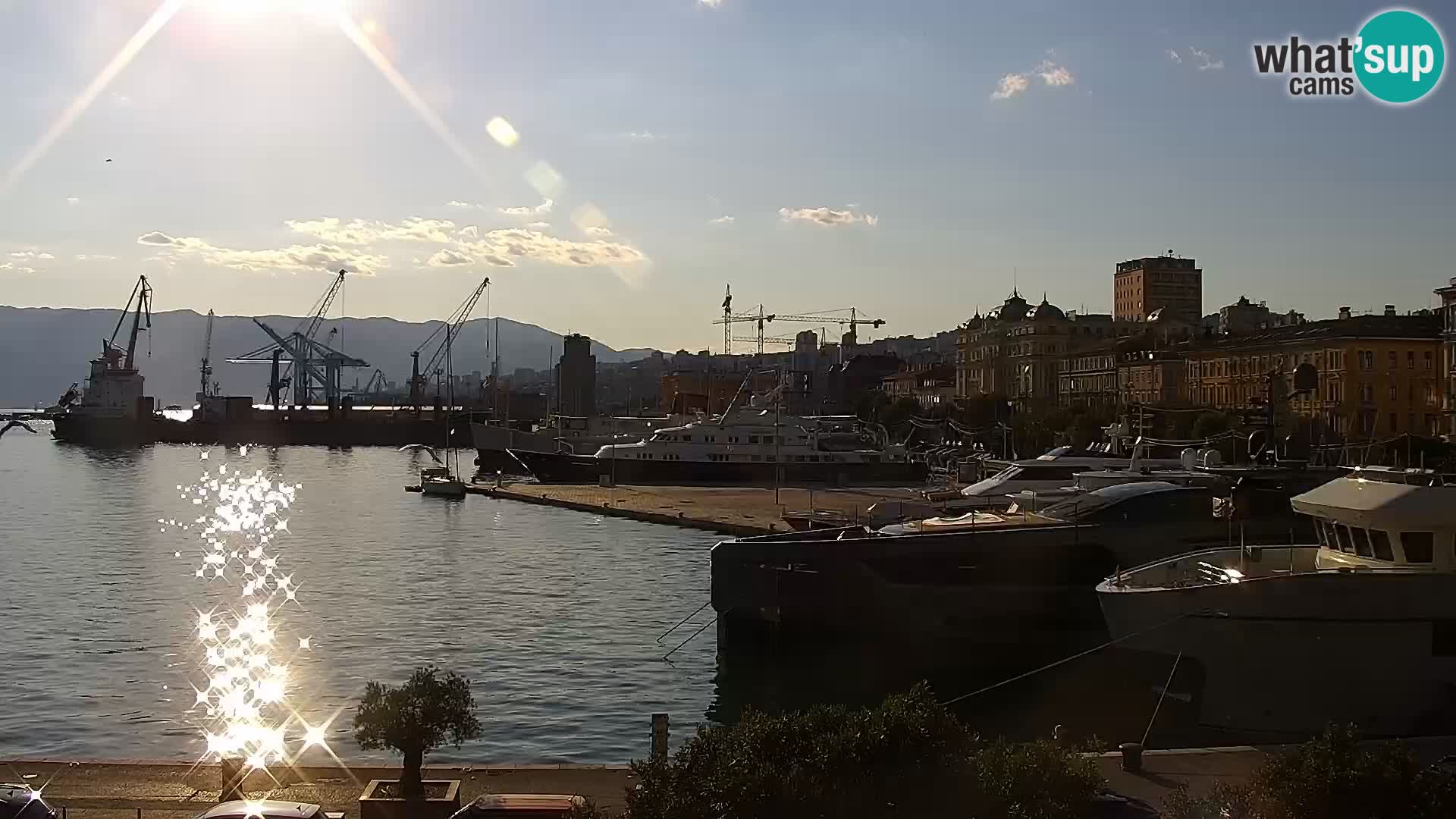 Riva i Marina u Rijeci – Web kamera uživo u Hrvatskoj