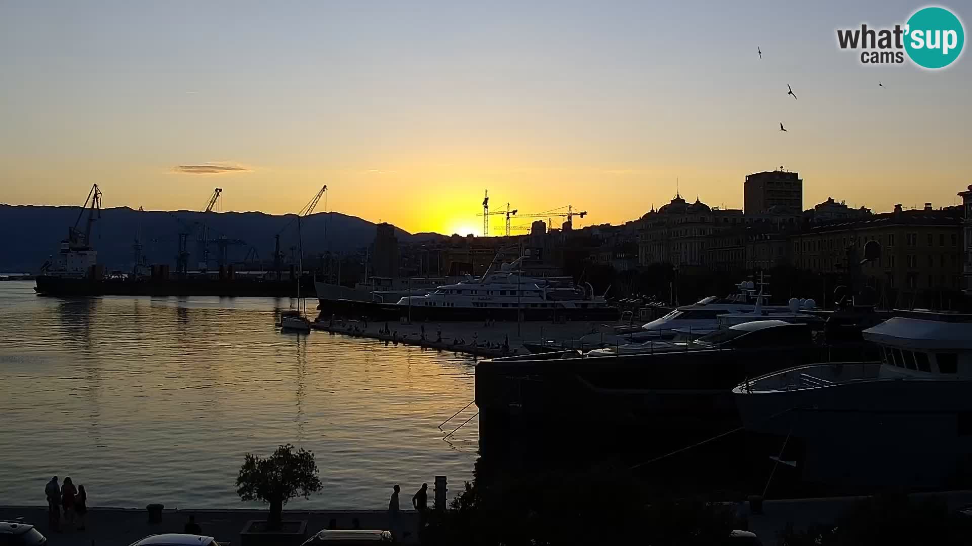 Die Riva und Marina in Rijeka – Live Webcam Kroatien