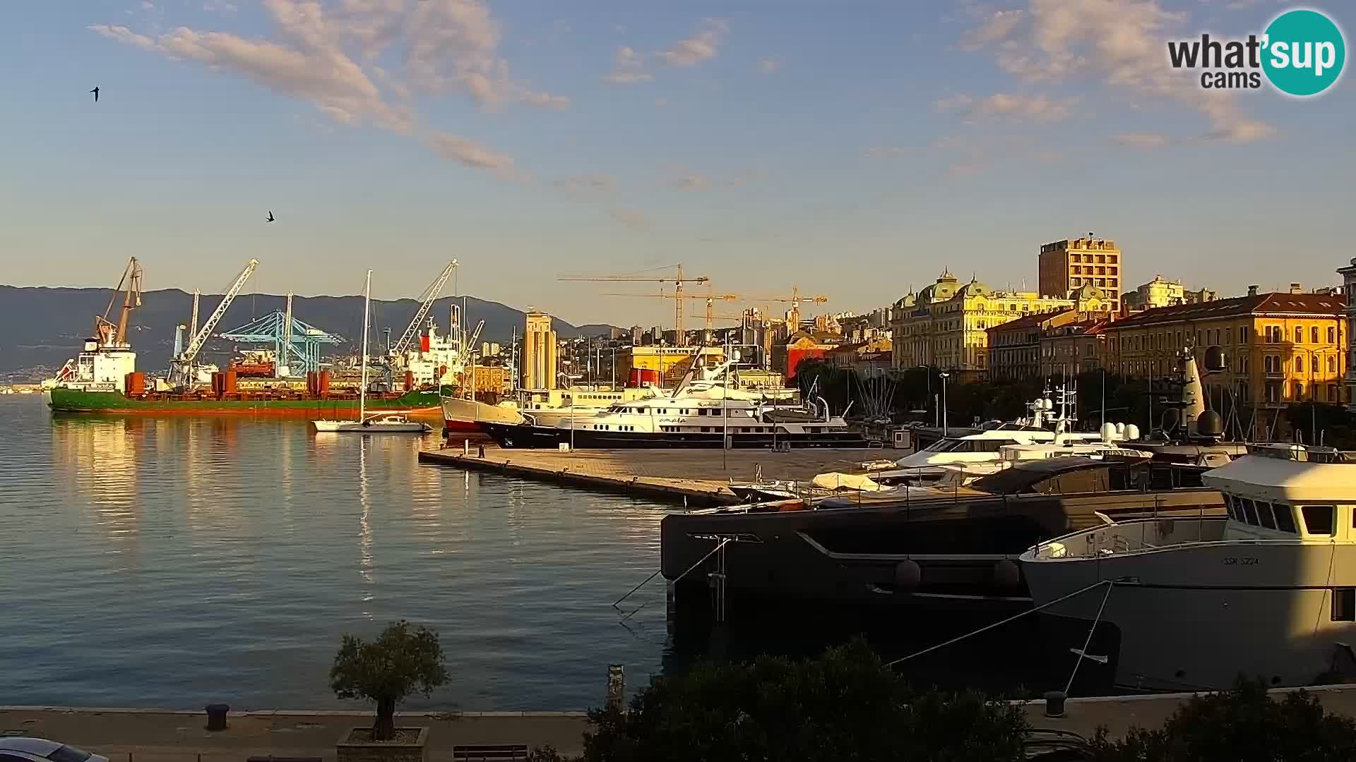 Riva in Marina v Reki – Spletna kamera v živo Hrvaška