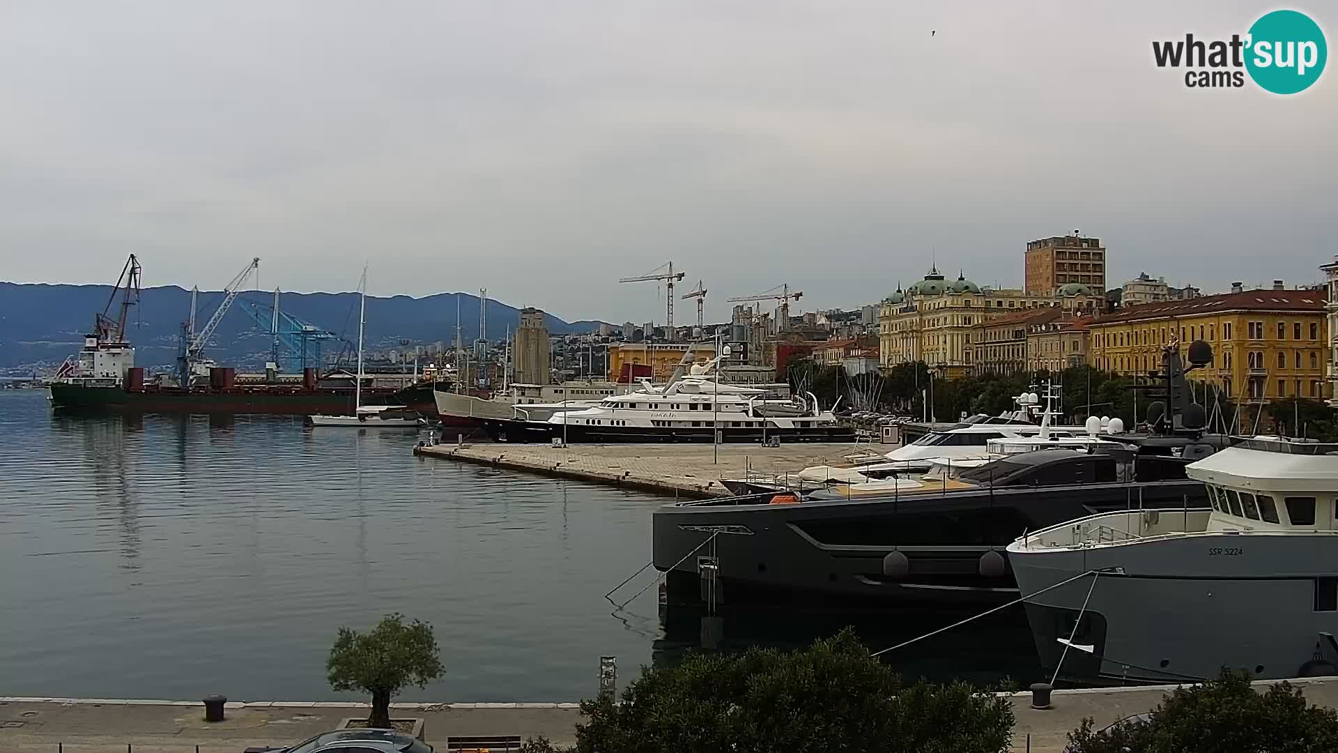 Die Riva und Marina in Rijeka – Live Webcam Kroatien