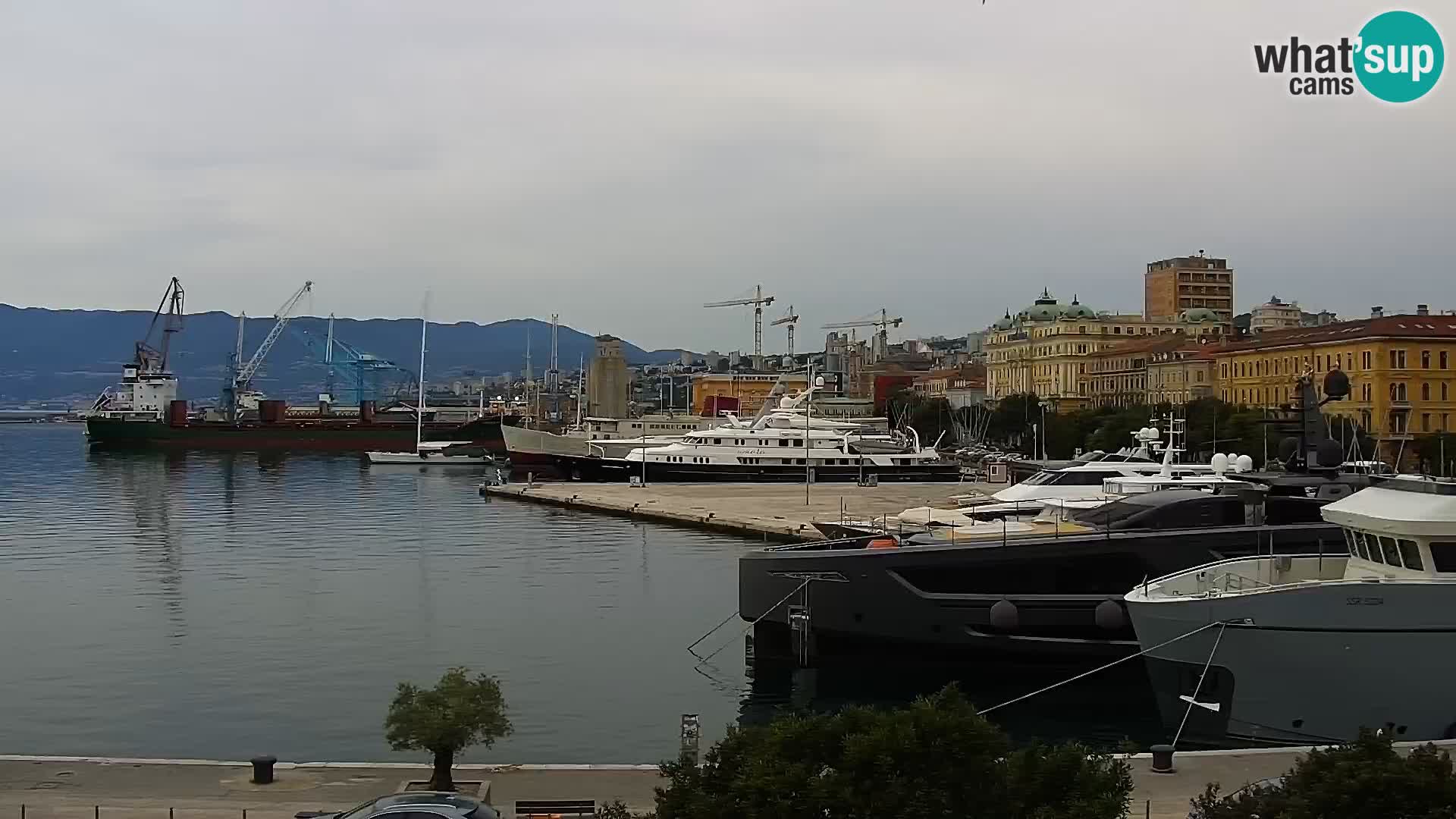 Riva in Marina v Reki – Spletna kamera v živo Hrvaška