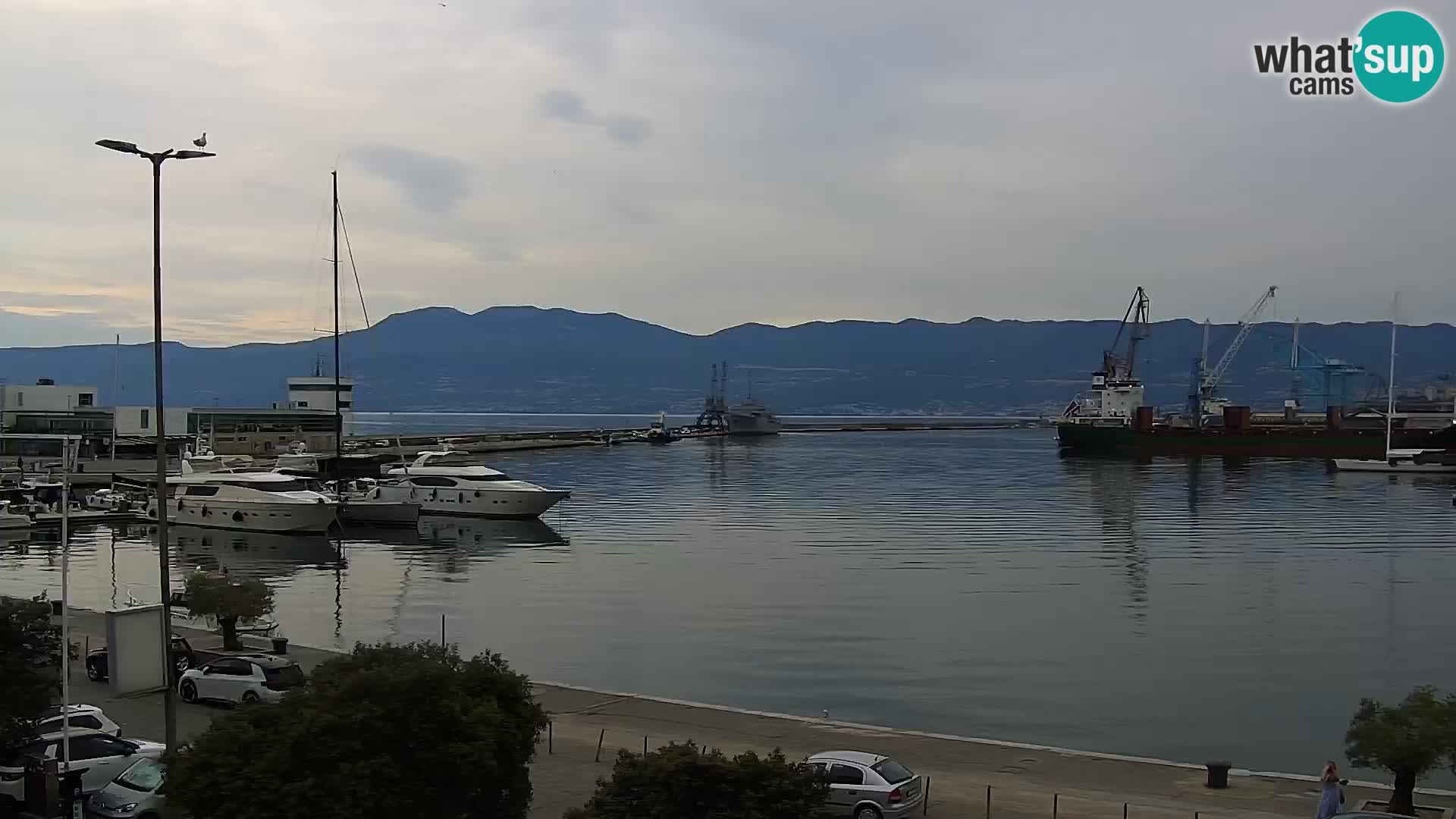 La Riva y Marina en Rijeka – Webcam en vivo Croacia