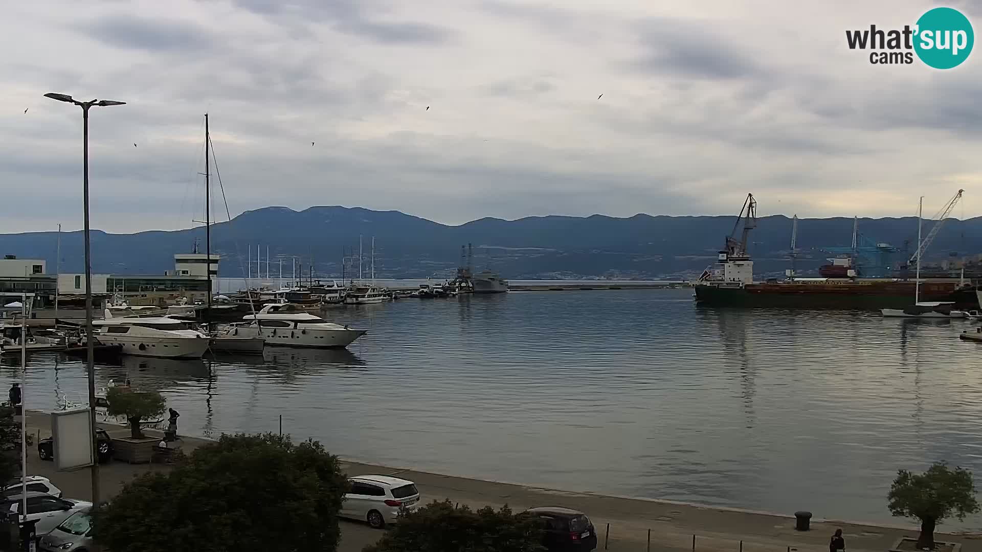 The Riva and Marina in Rijeka – Live Webcam Croatia
