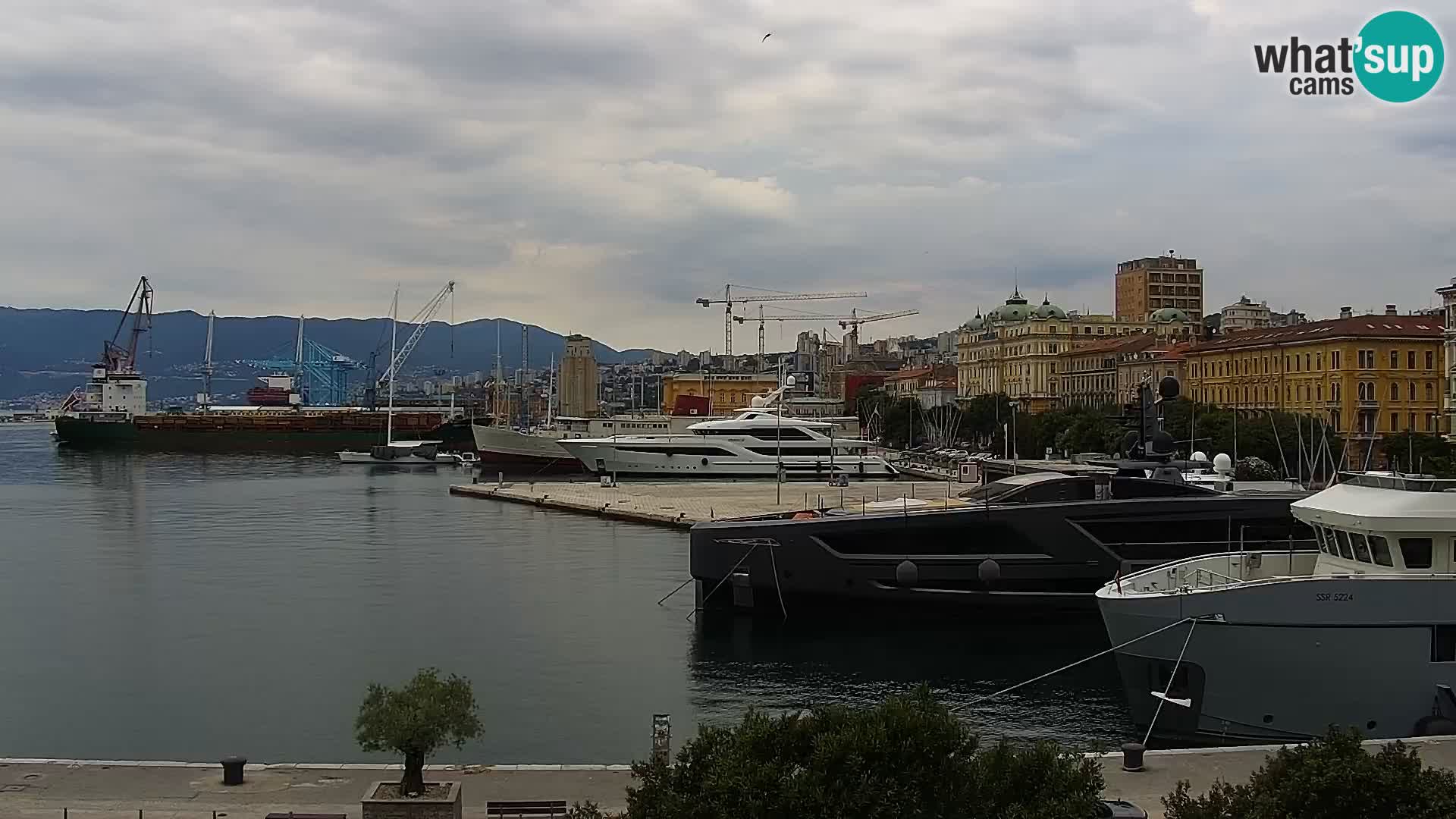 La Riva y Marina en Rijeka – Webcam en vivo Croacia