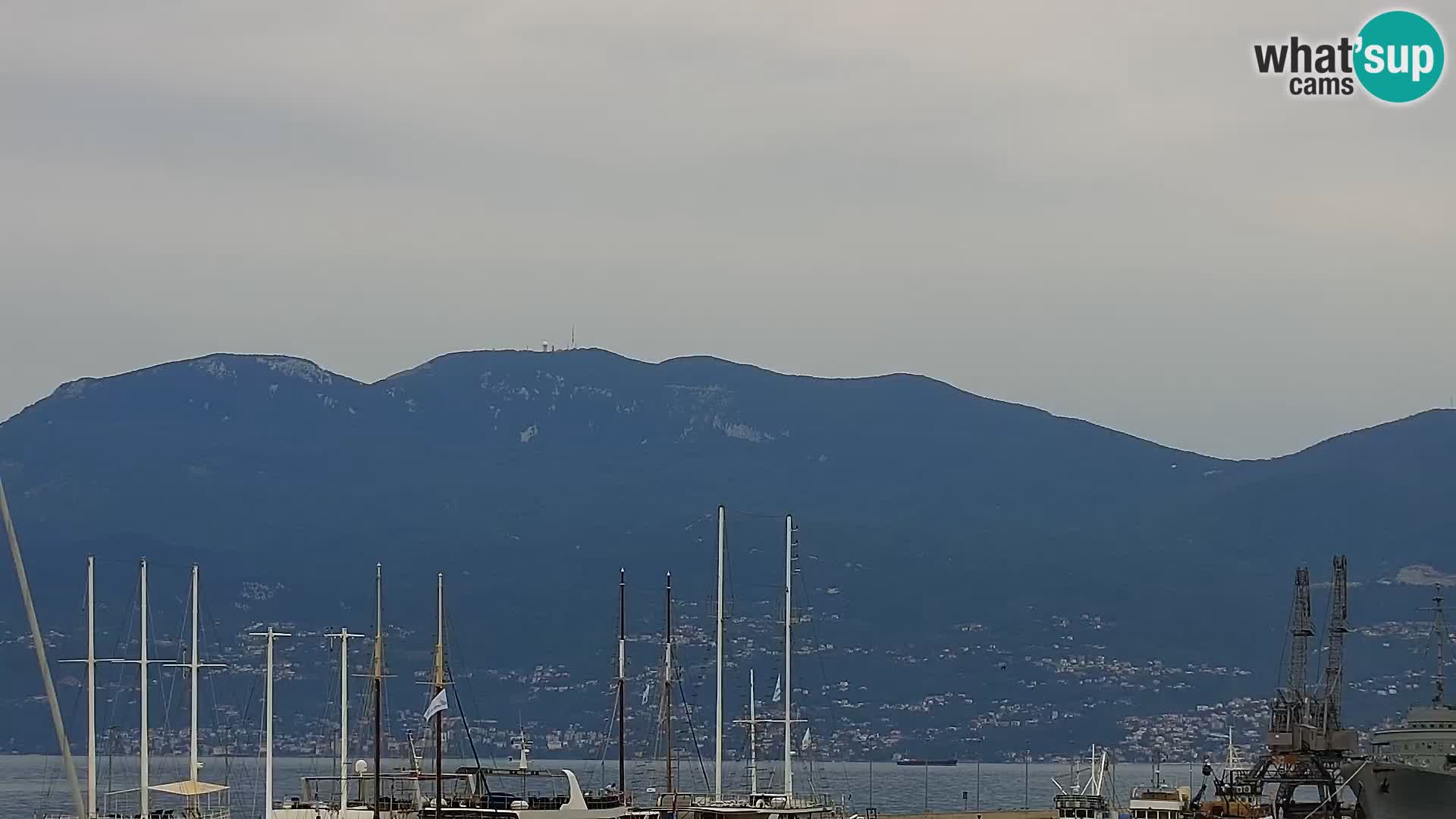 Riva in Marina v Reki – Spletna kamera v živo Hrvaška