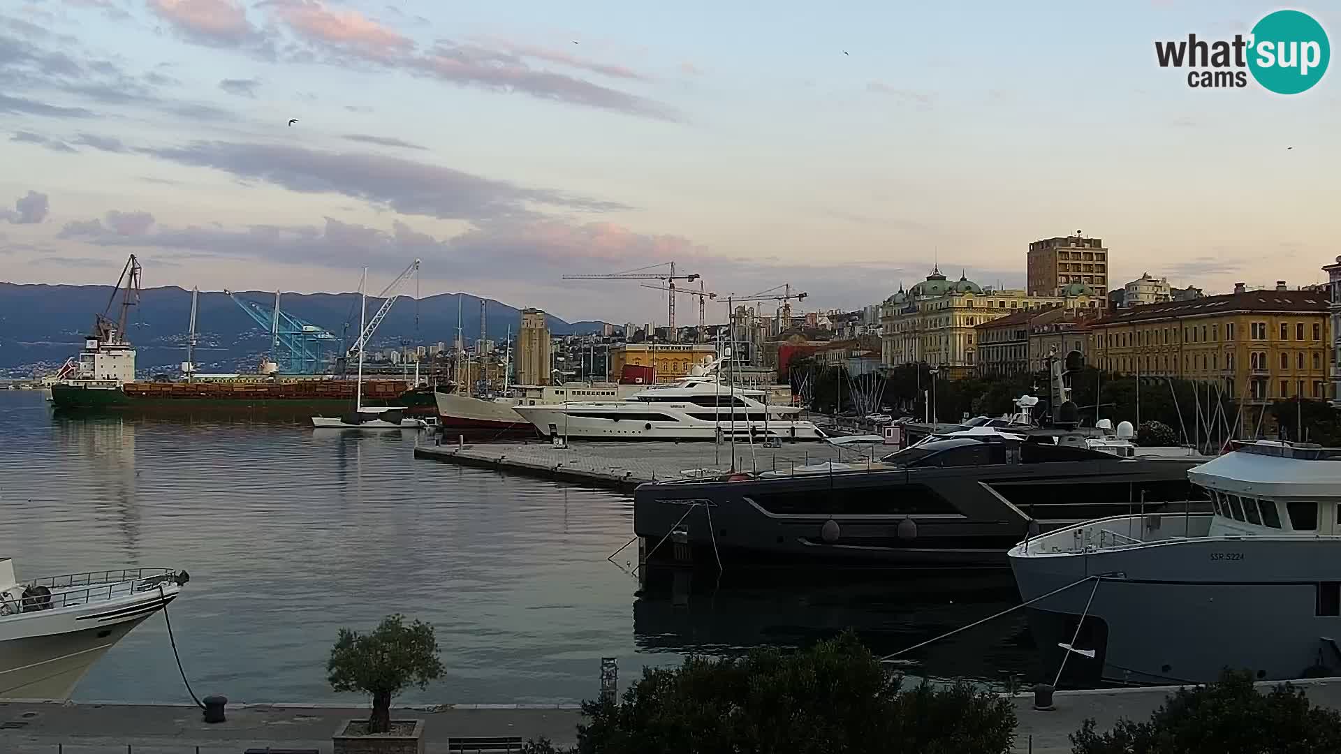 Riva i Marina u Rijeci – Web kamera uživo u Hrvatskoj